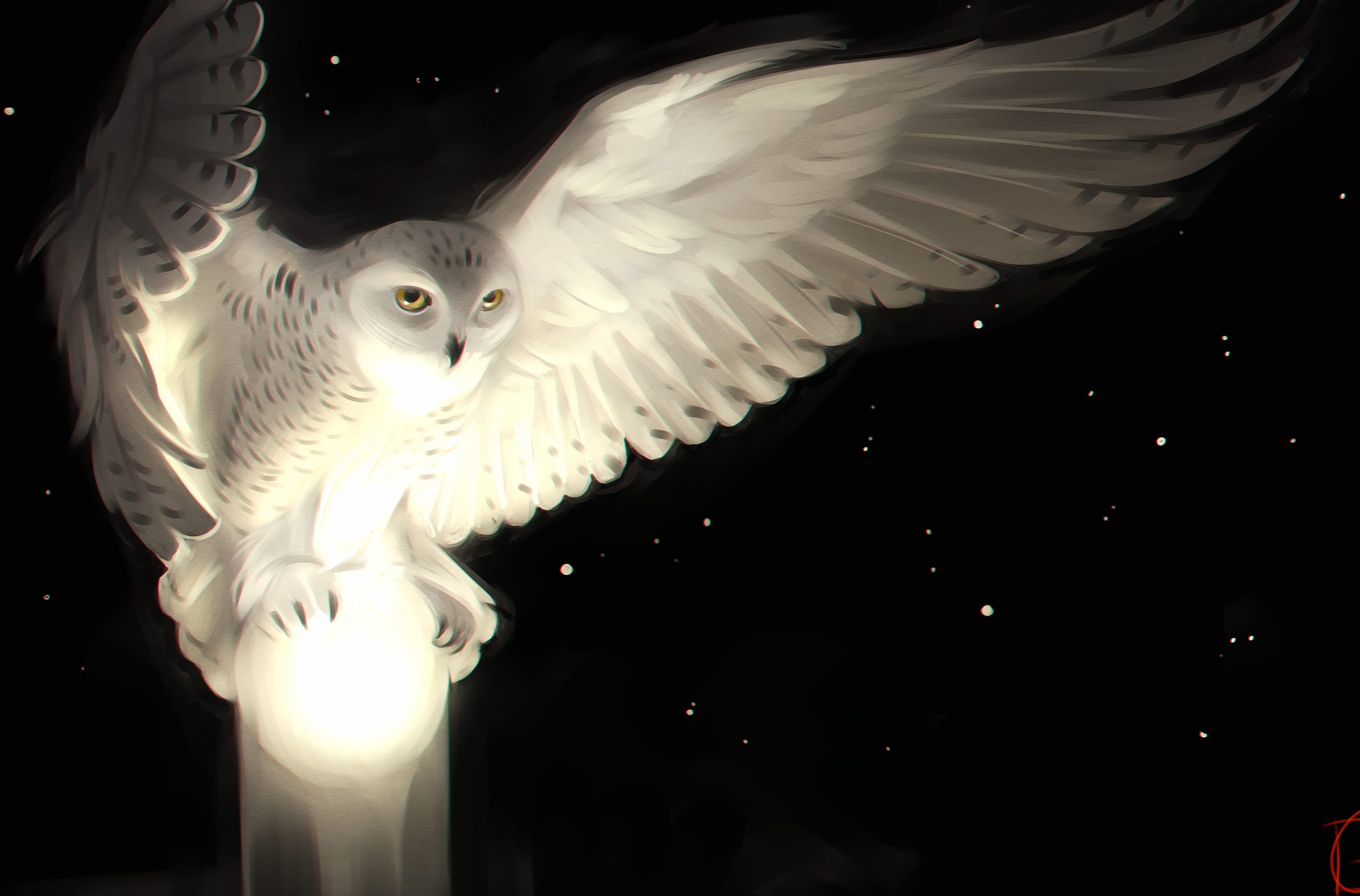 Enchanting Snowy Owl Fantasy wallpapers HD quality