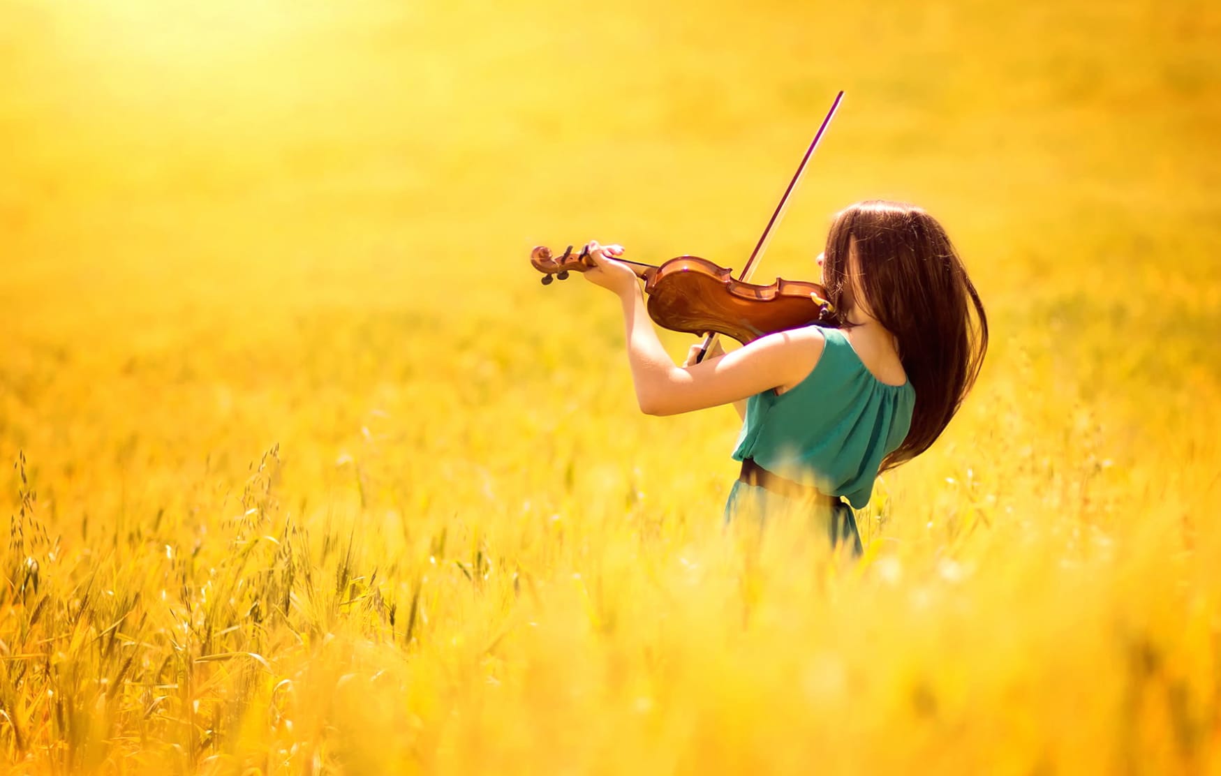 Enchanting Violinist in Sunlit Field - at 2560 x 1440 HD size wallpapers HD quality