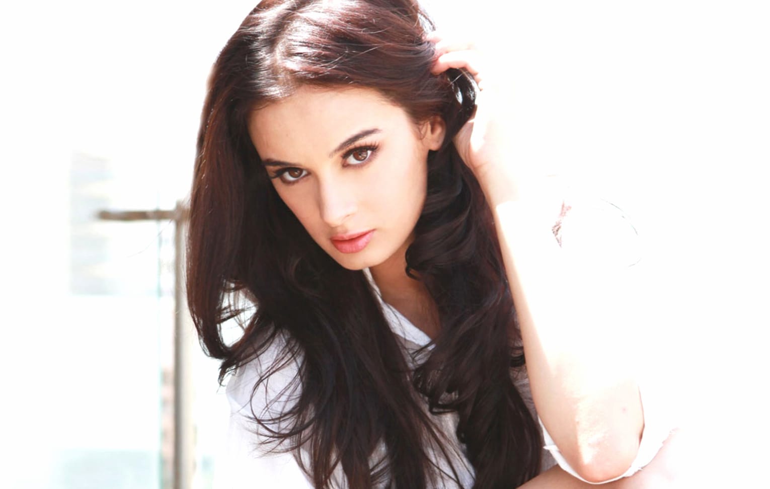 Evelyn Sharma Stunning of a Celebrity Icon wallpapers HD quality