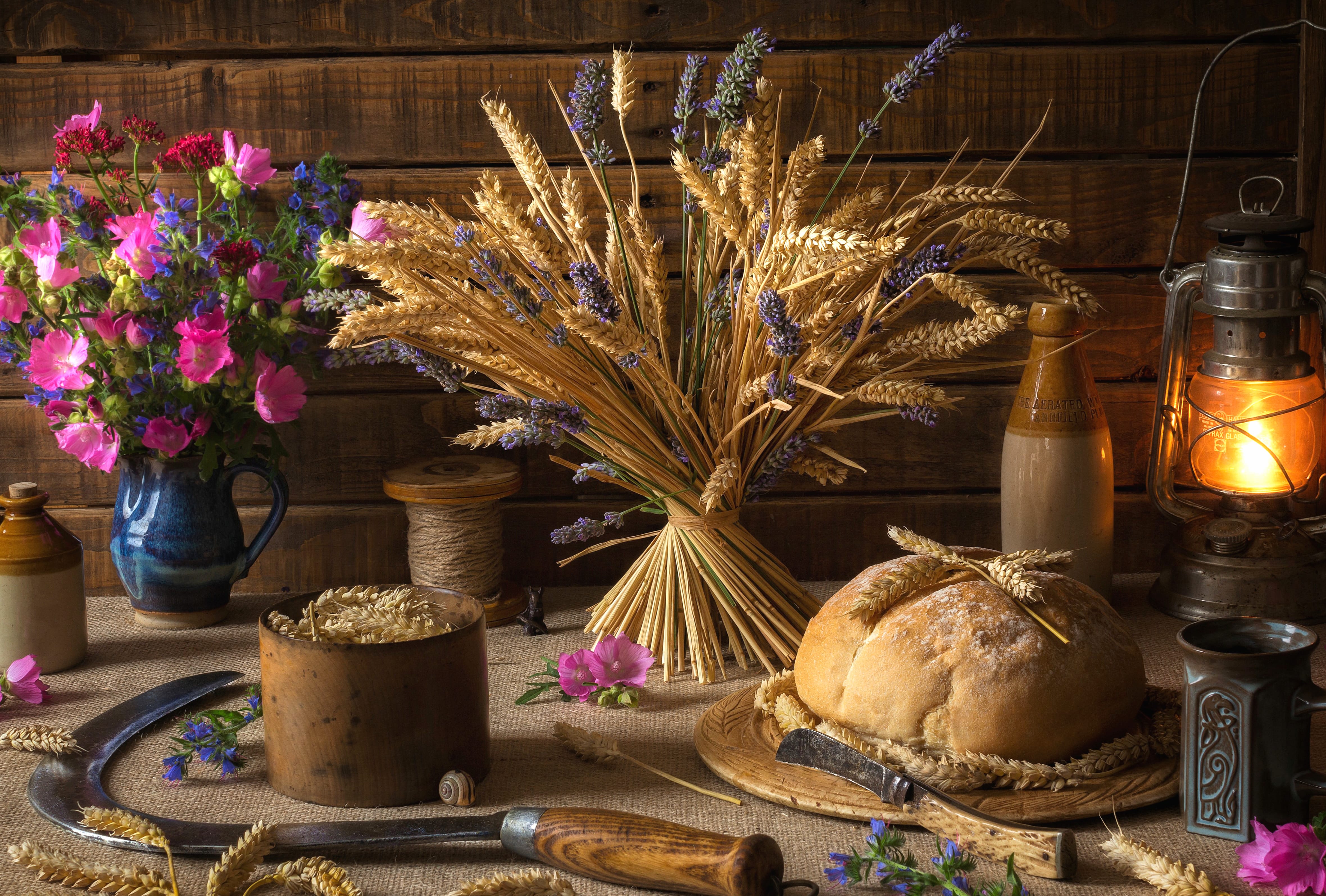 Fall Harvest Still Life - wallpapers HD quality