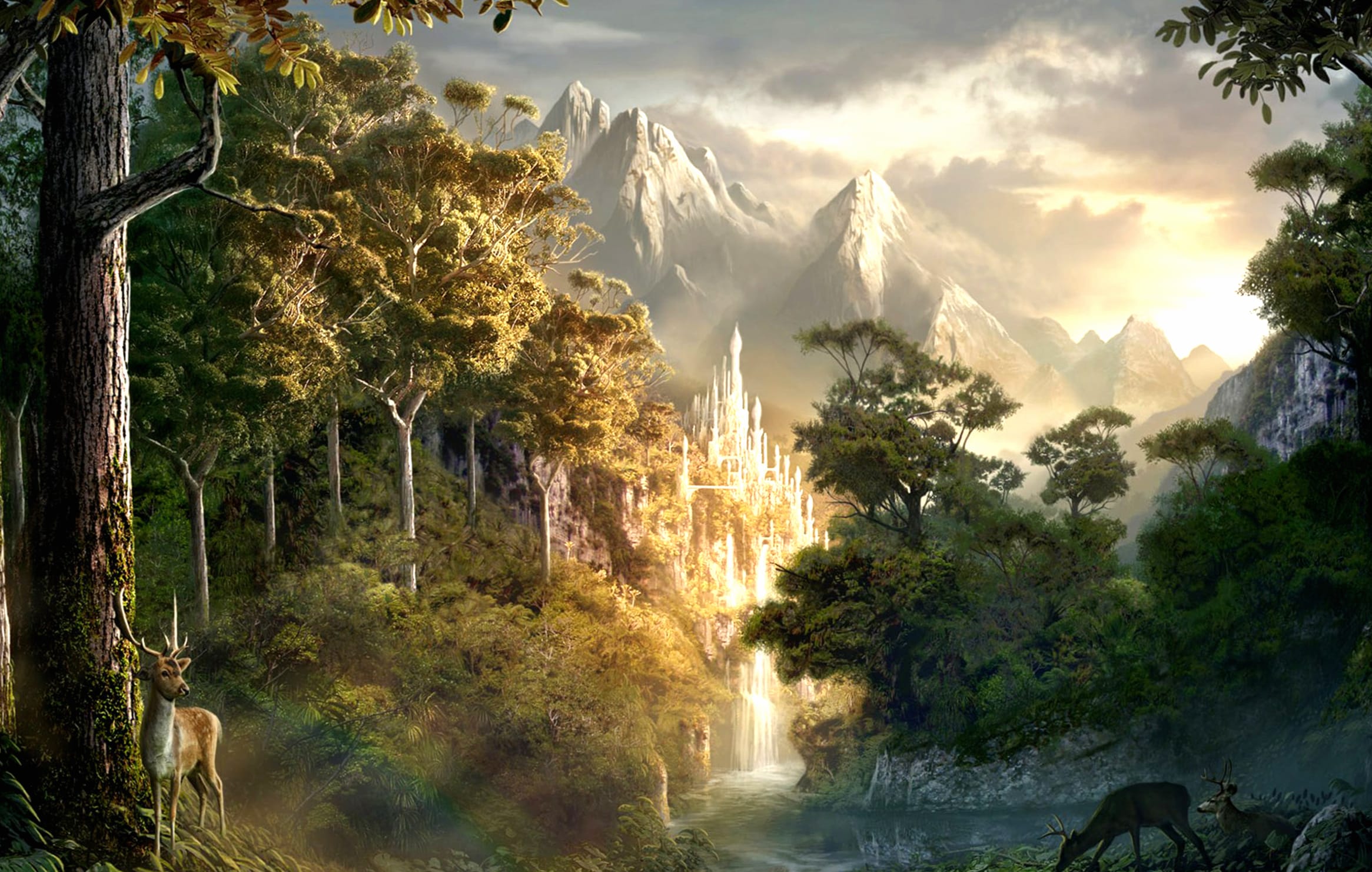 Fantasy Forest Escape wallpapers HD quality