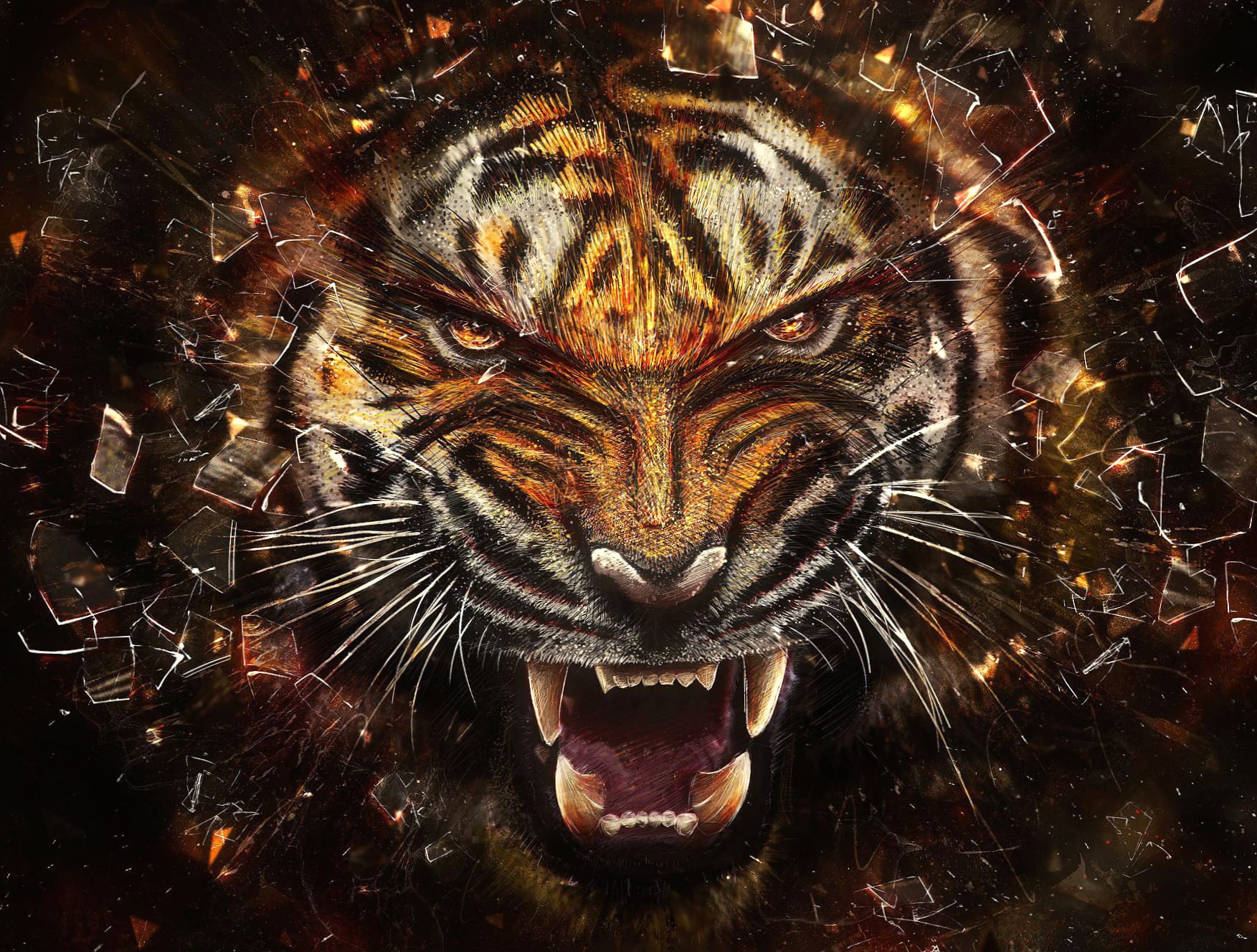 Fierce Tiger at 2560 x 1440 HD size wallpapers HD quality