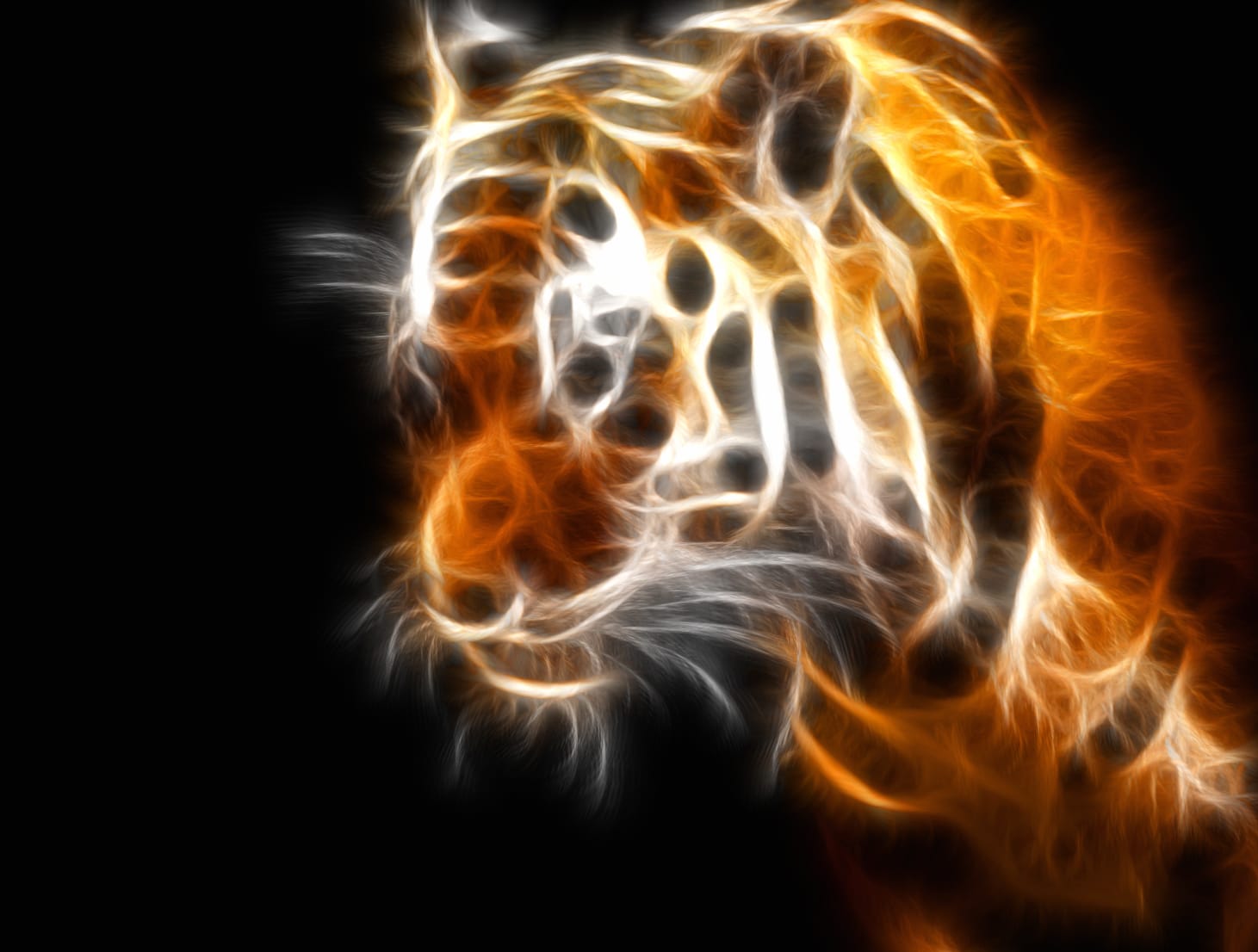 Fiery Tiger wallpapers HD quality