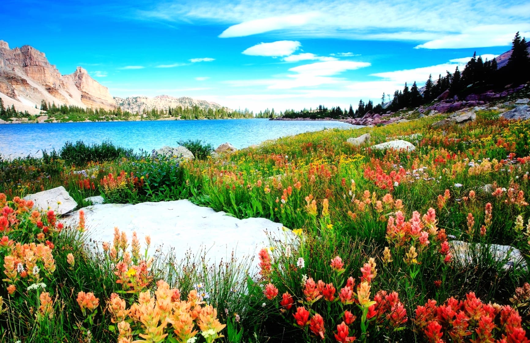 Floral Lakeside Mountain - HD Nature Wallpaper at 1024 x 1024 iPad size wallpapers HD quality