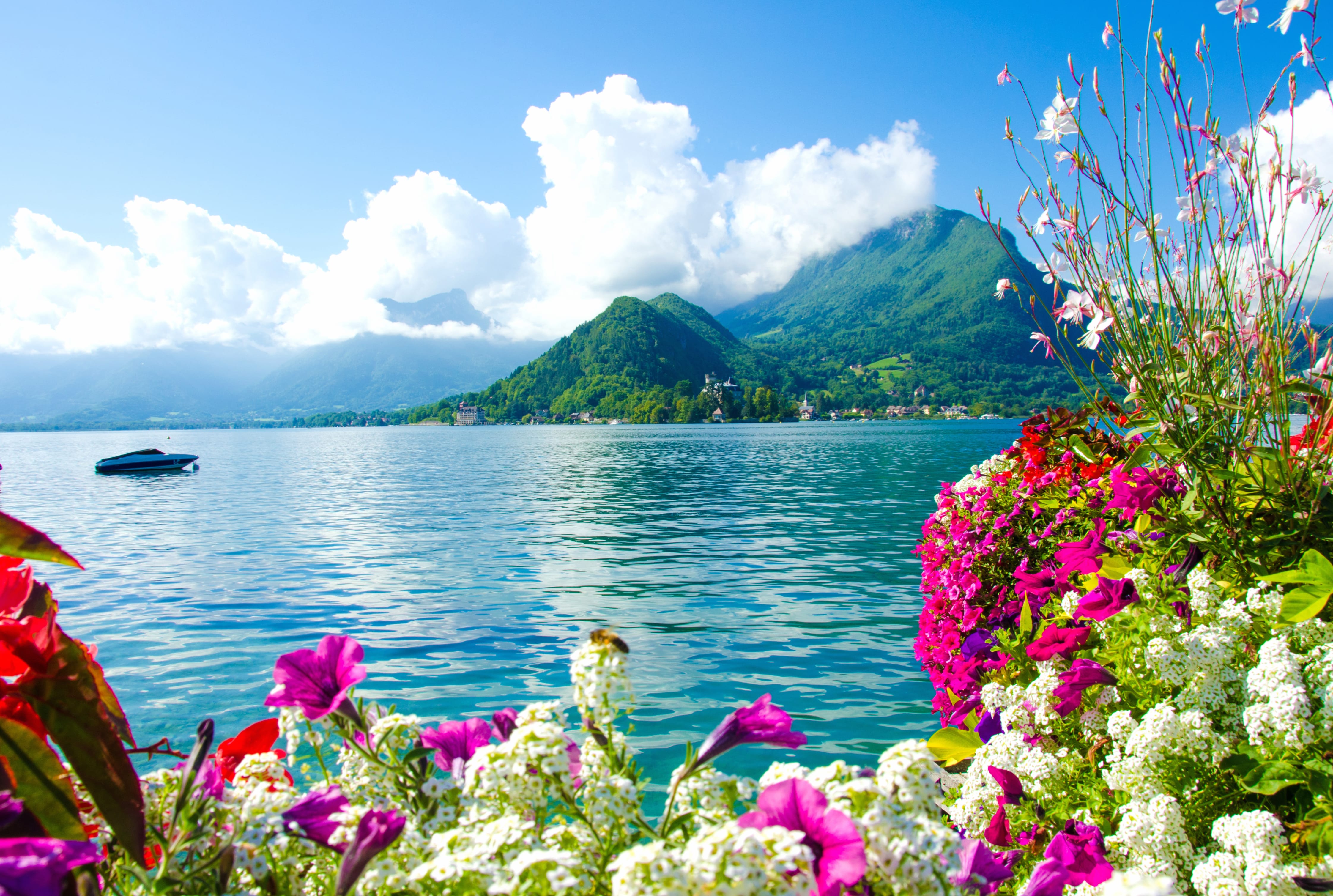 Floral Lakeside Serenity wallpapers HD quality