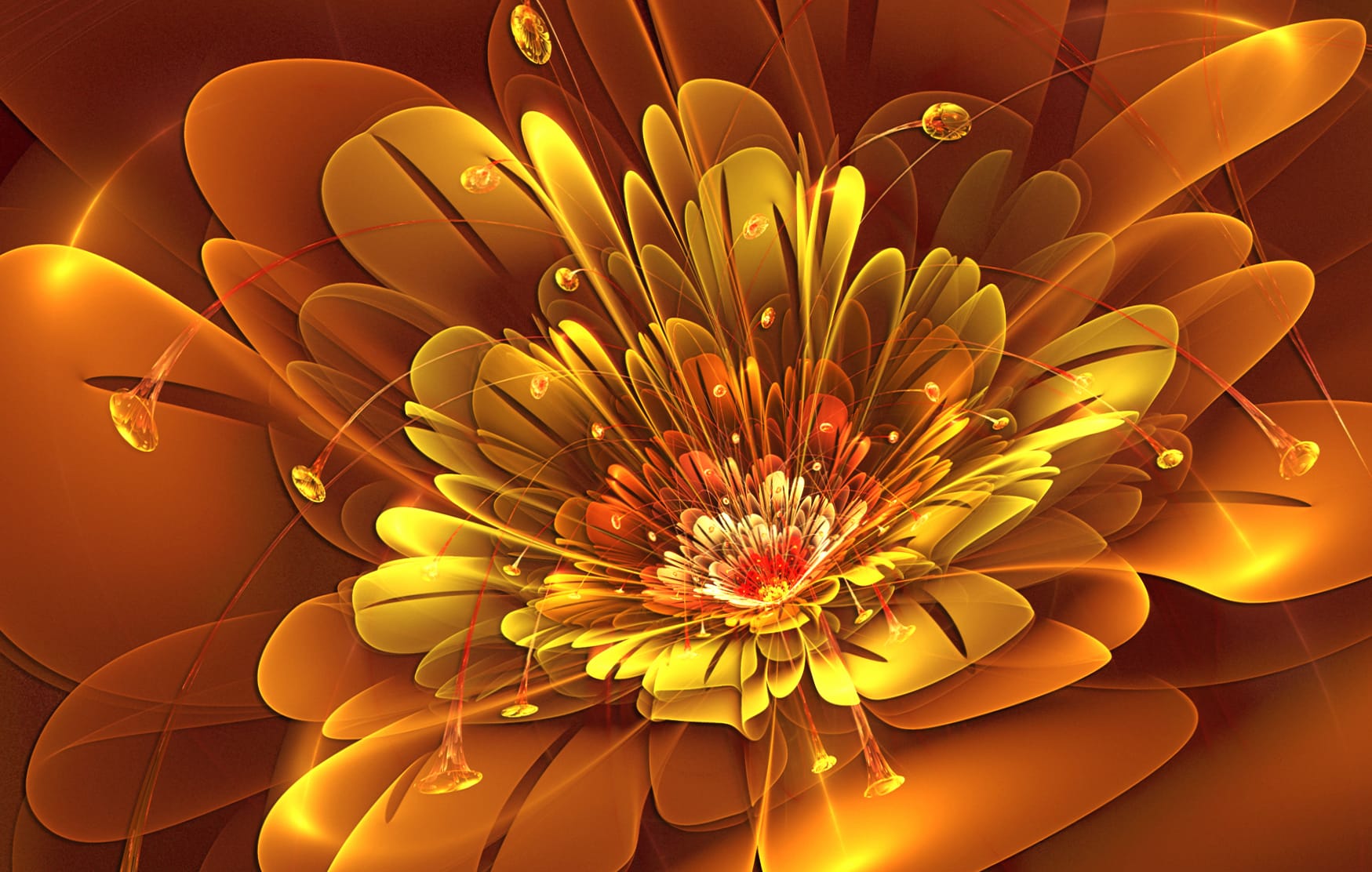 Flower Abstract Fractal wallpapers HD quality