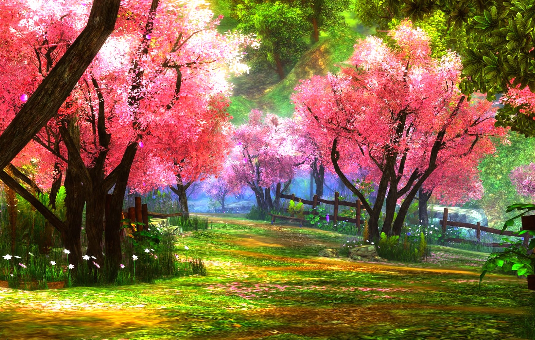 Flower Blossom Tree Spring Photography Park wallpapers HD quality