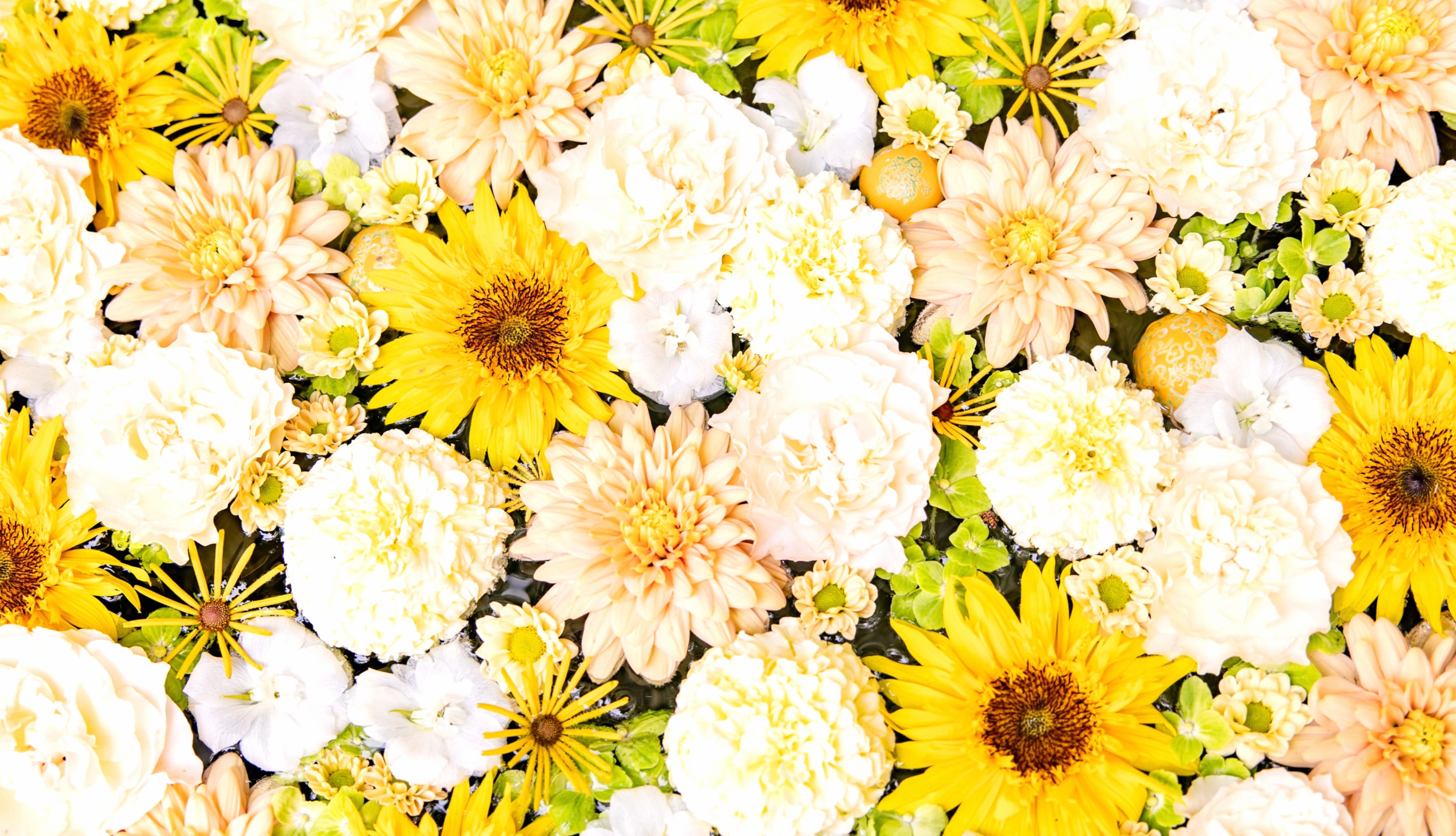 Flower bouquet Yellow aesthetic wallpapers HD quality