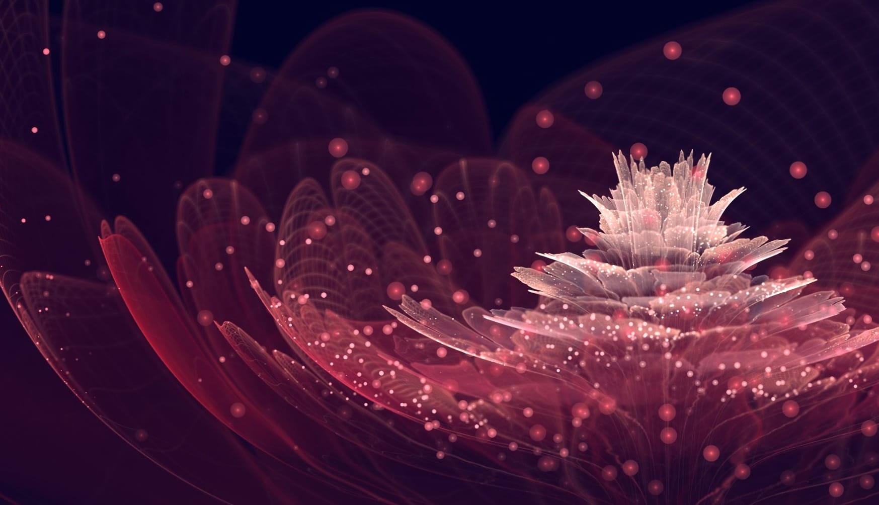 Flower CGI Pattern Psychedelic Trippy Abstract Fractal wallpapers HD quality