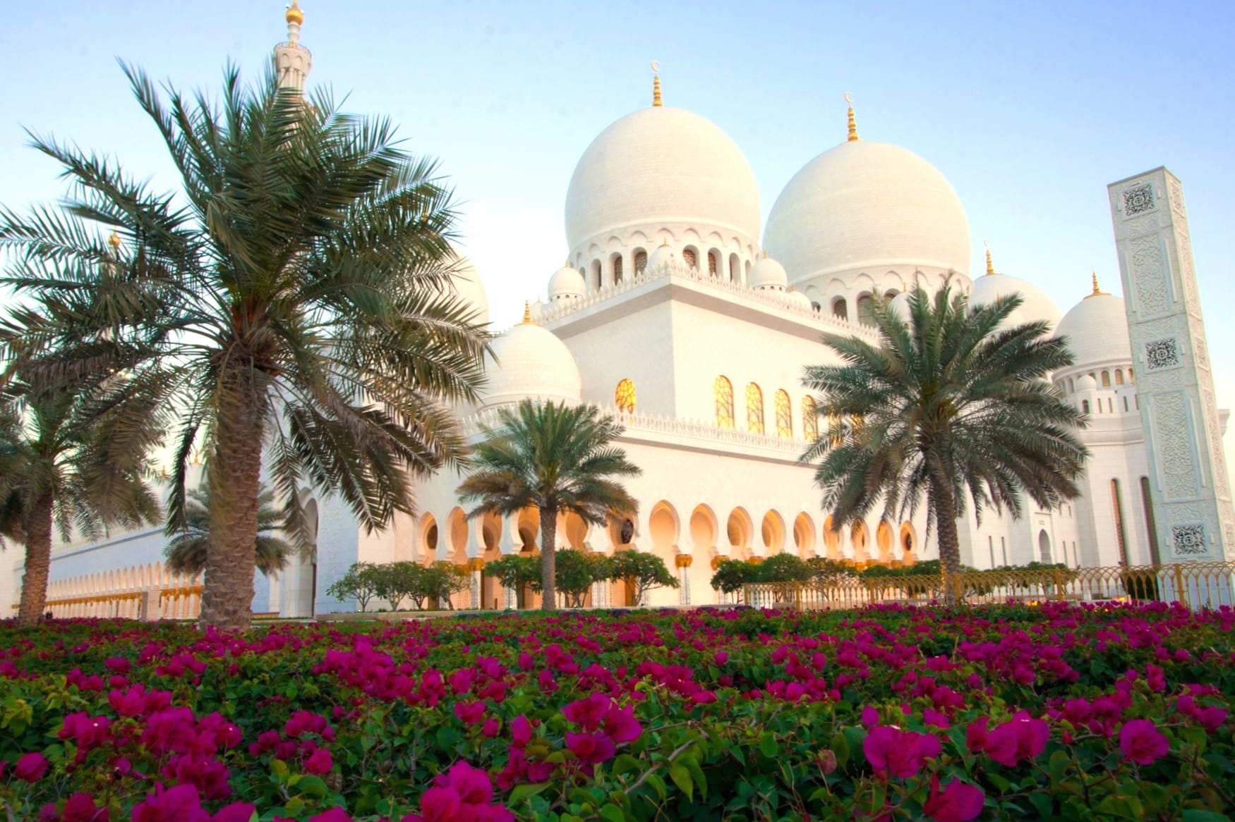 Flower Palm Tree Abu Dhabi Religious Sheikh Zayed Grand Mosque wallpapers HD quality