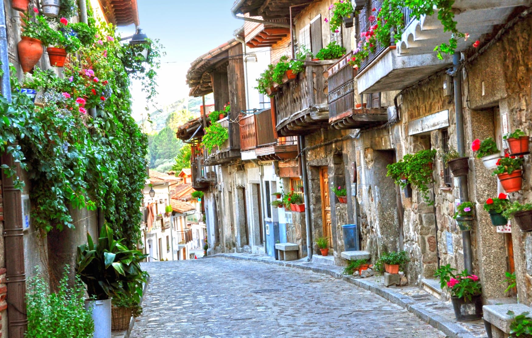 Flower Tree Cobblestone House Man Made Street at 1280 x 720 HD size wallpapers HD quality