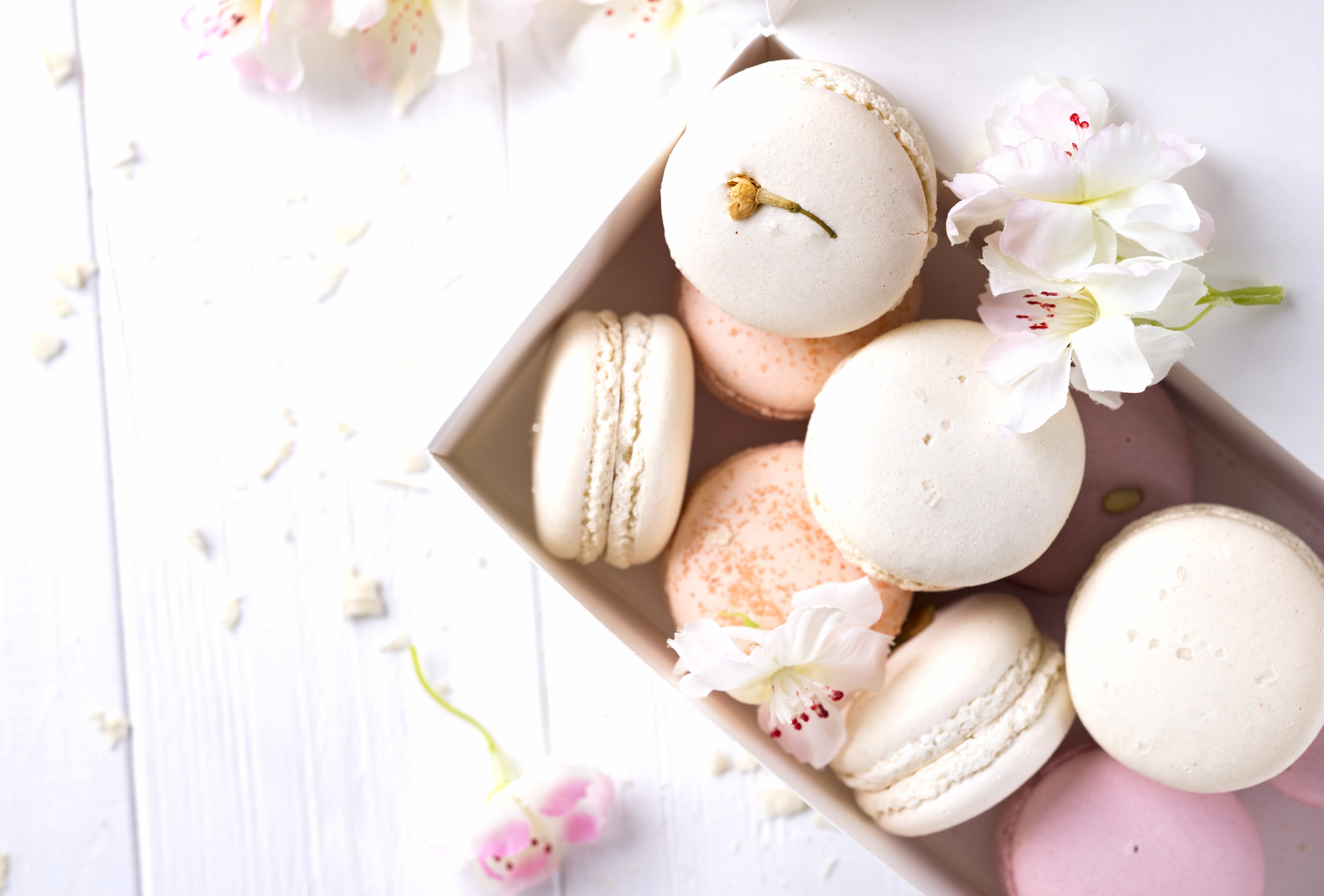 Food Macaron wallpapers HD quality