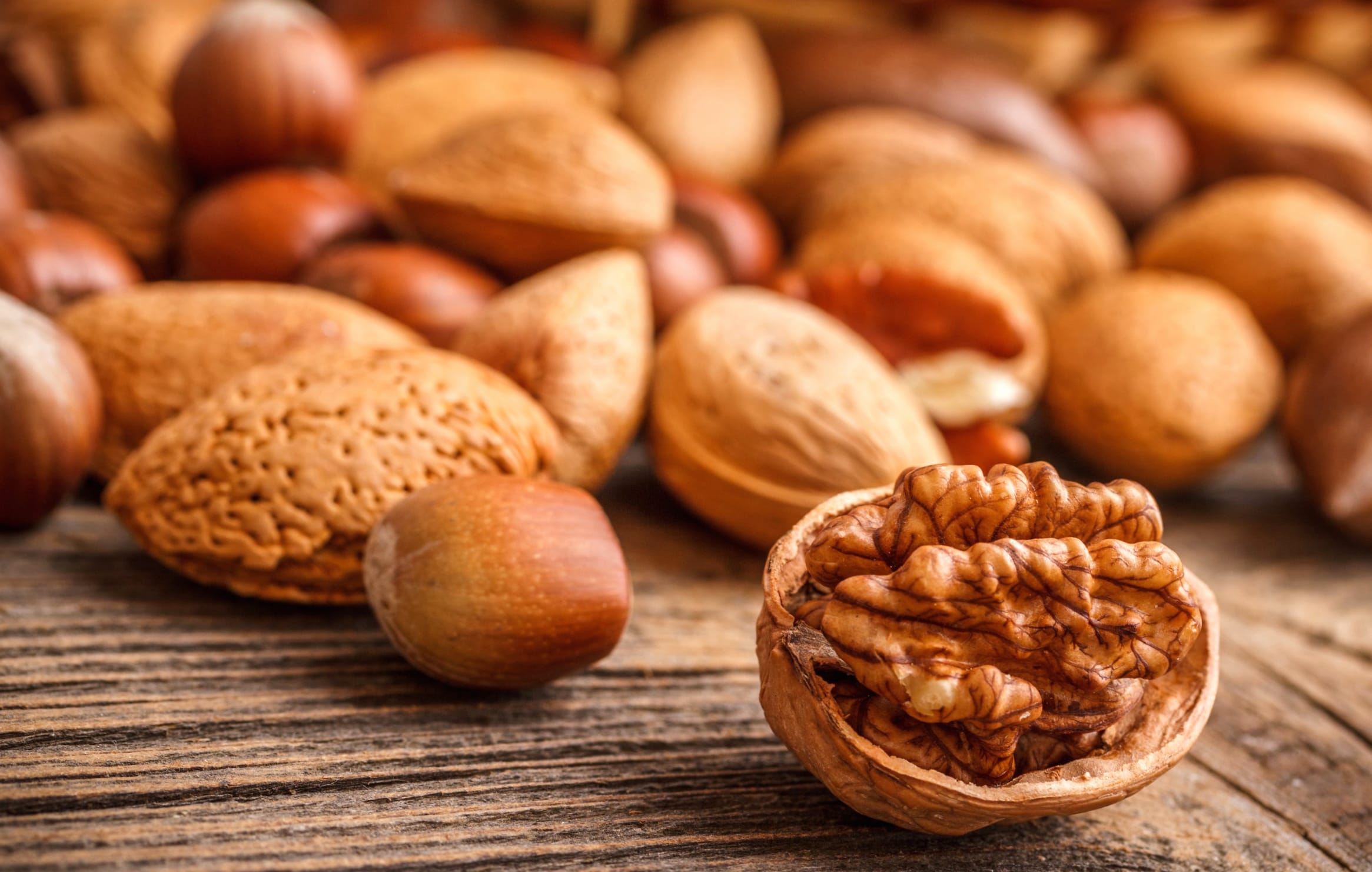 Food Nut wallpapers HD quality