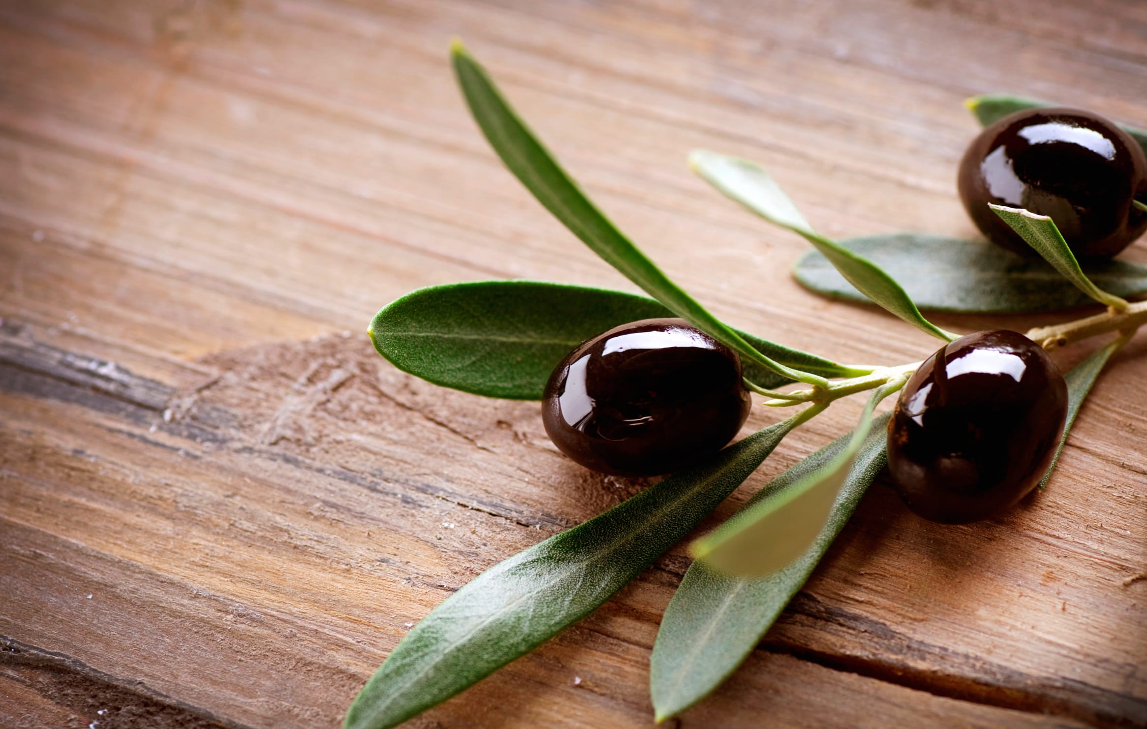 Food Olive wallpapers HD quality