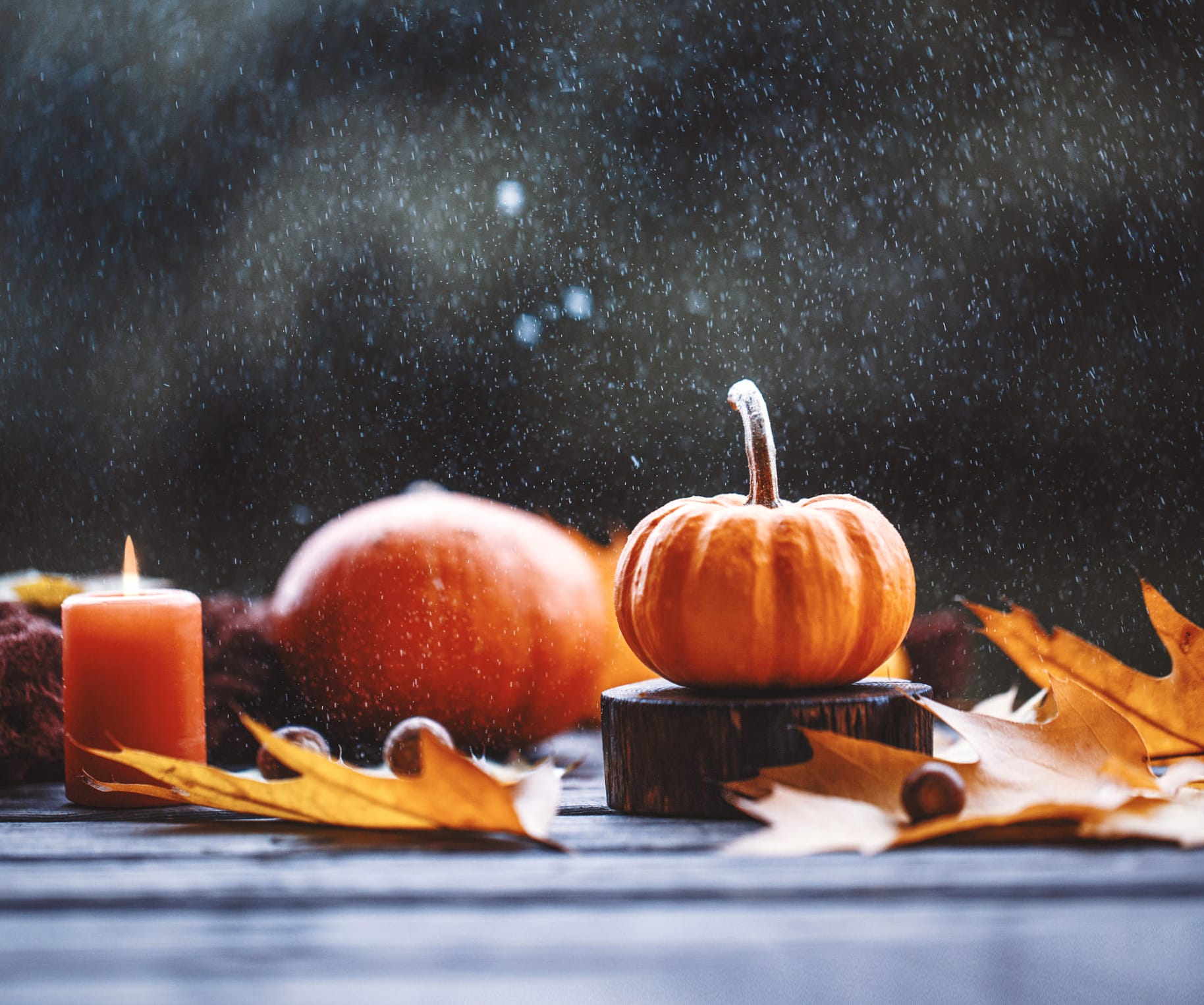 Food Pumpkin at 1536 x 864 HD size wallpapers HD quality