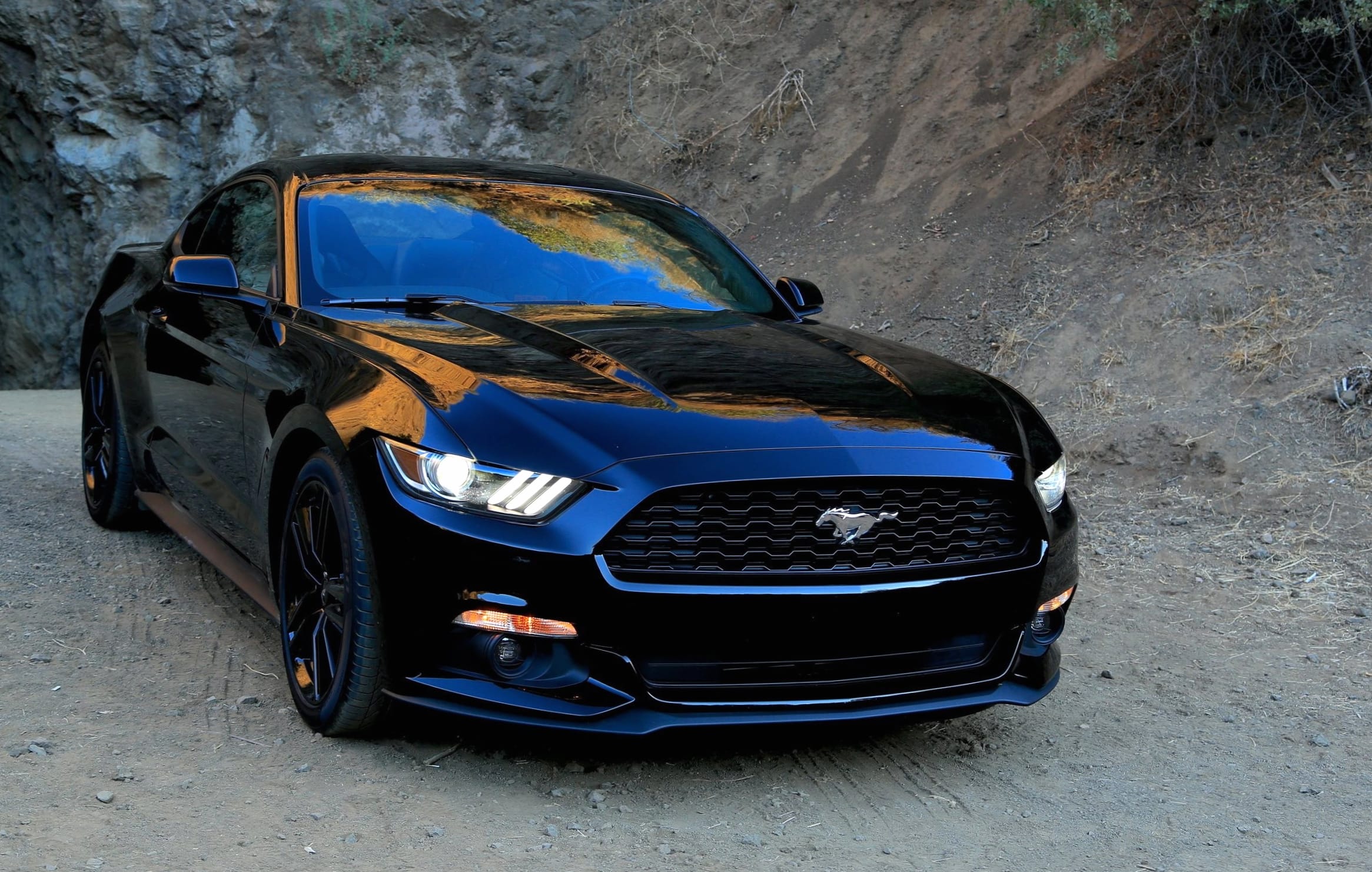 Ford Mustang Elegance - wallpapers HD quality