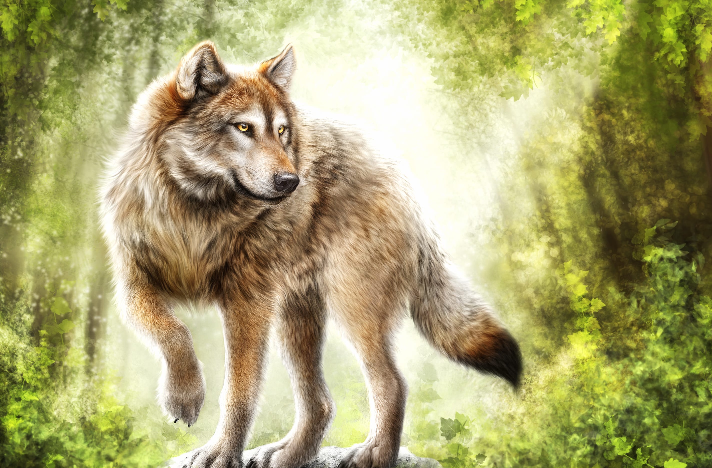 Forest Painting Animal Wolf at 320 x 480 iPhone size wallpapers HD quality