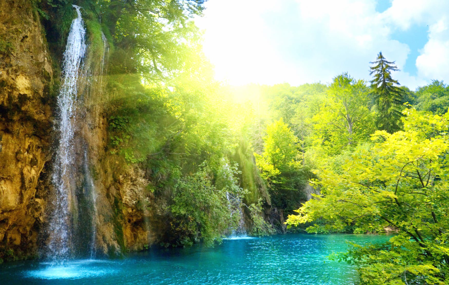 Forest Waterfall Nature at 640 x 1136 iPhone 5 size wallpapers HD quality