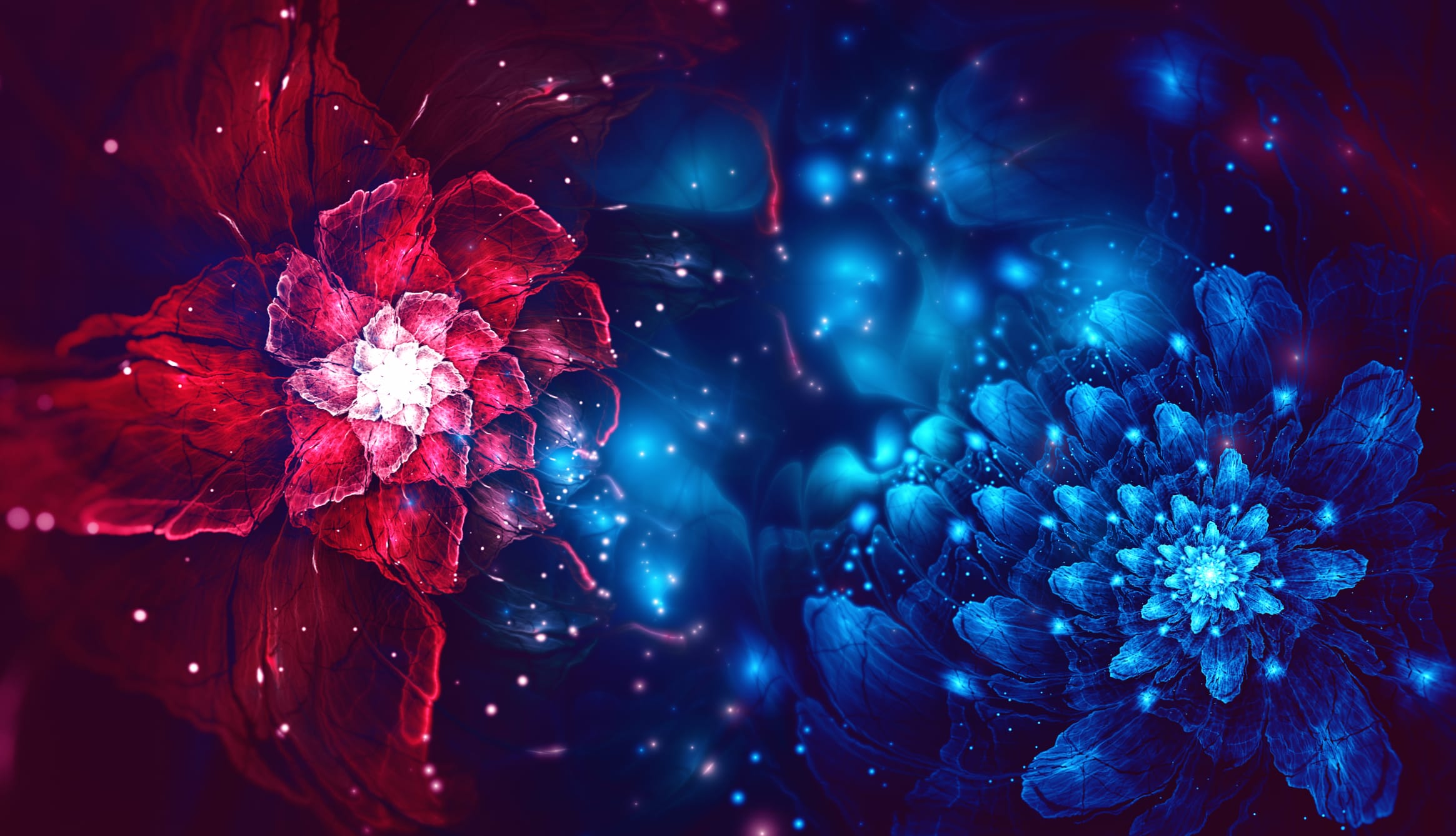 Fractal Blue Red Artistic Flower wallpapers HD quality