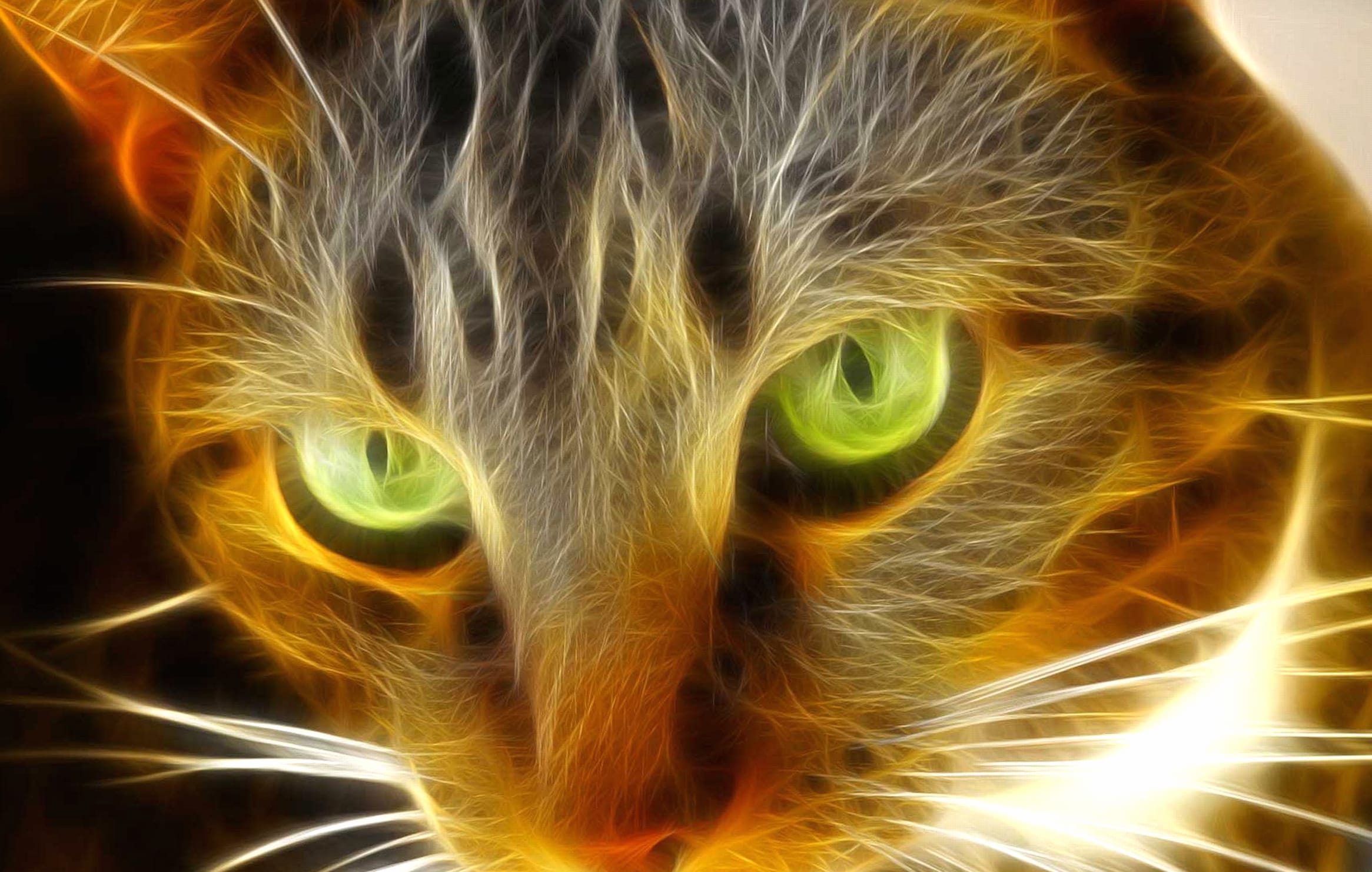 Fractal Cat A Stunning wallpapers HD quality