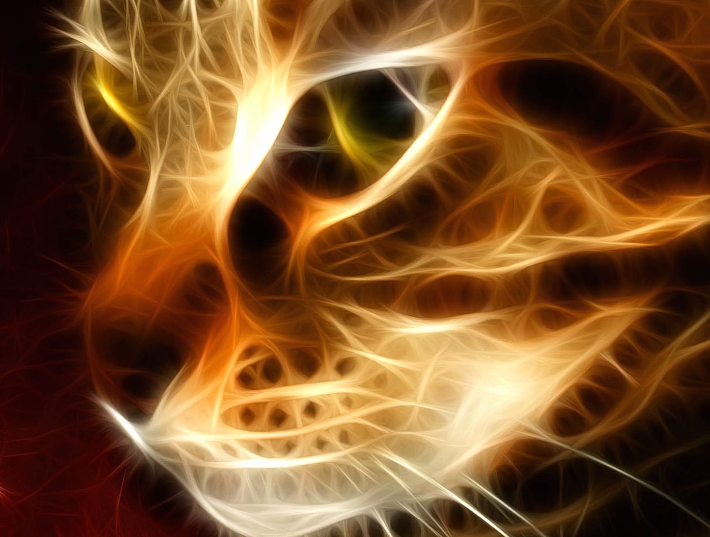 Fractal Kitten wallpapers HD Fractal Kitten wallpapers HD quality