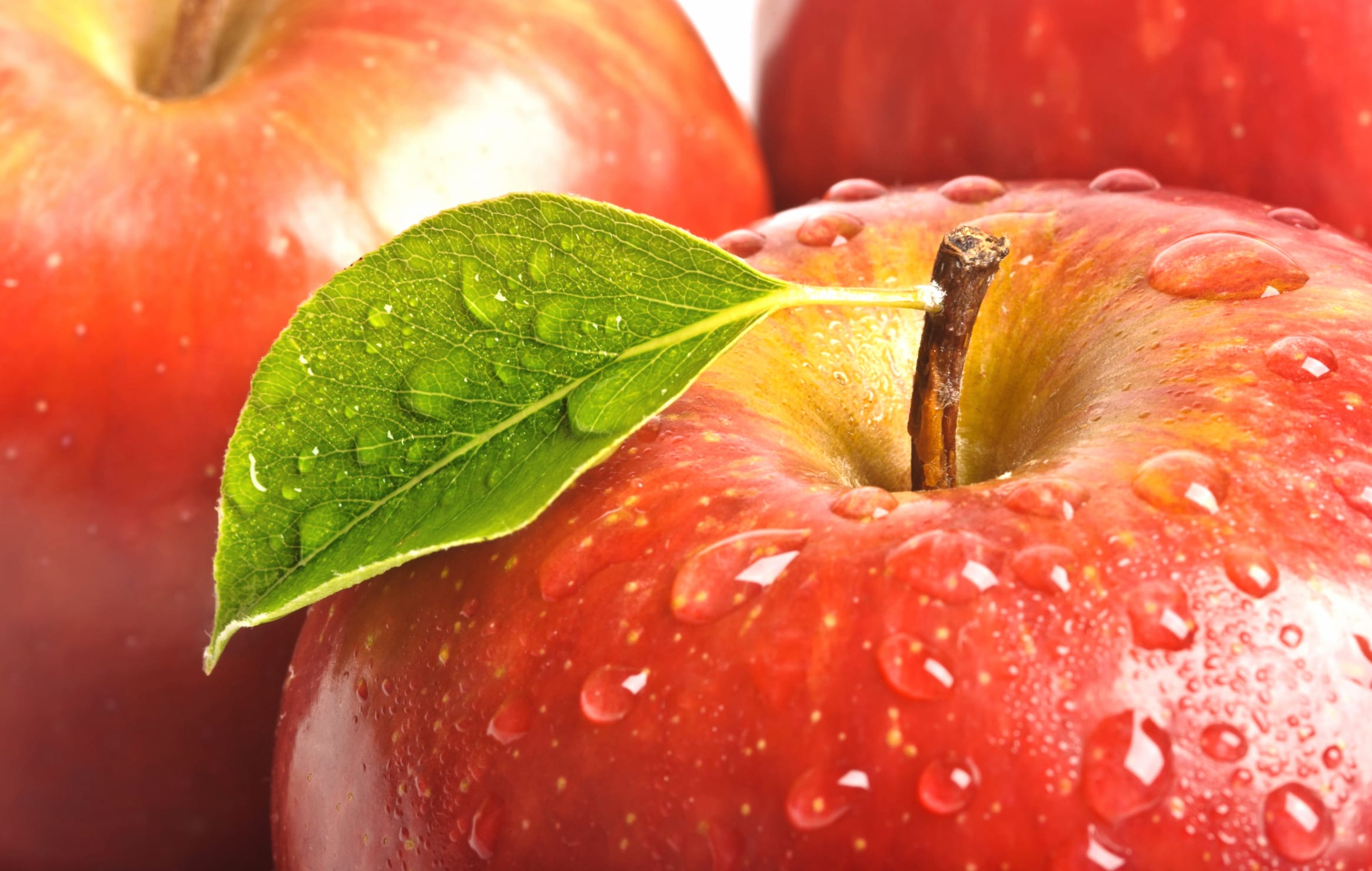 Fresh Apples A Crisp Delight at 1024 x 1024 iPad size wallpapers HD quality