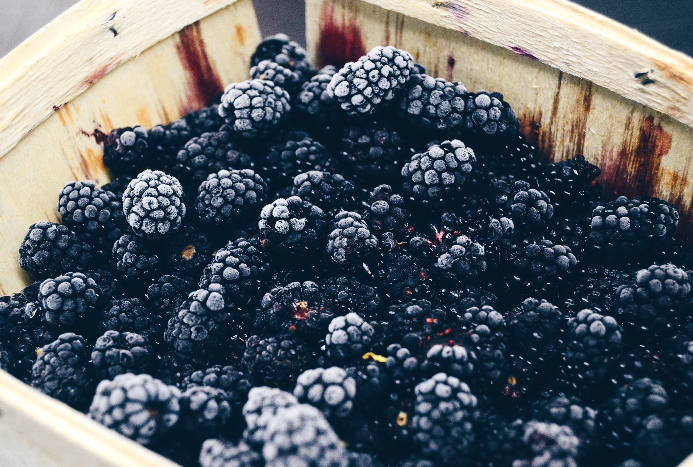 Fresh Blackberry Harvest - wallpapers HD quality