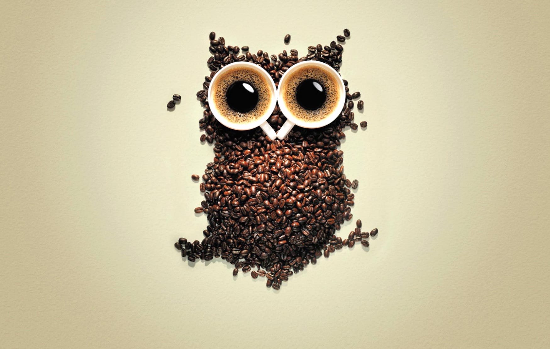 Funny Coffee Owl A Whimsical of Beans & Brews wallpapers HD quality