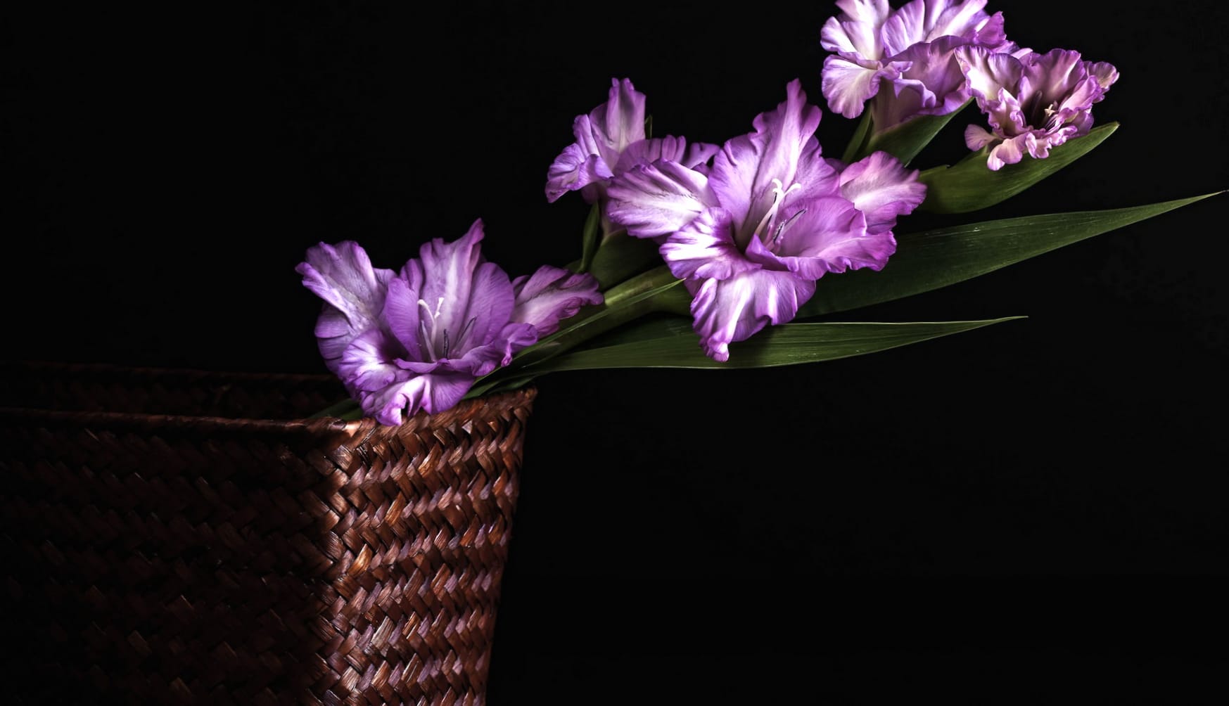 Gladiolus Purple Flower Basket Nature Flower at 320 x 480 iPhone size wallpapers HD quality