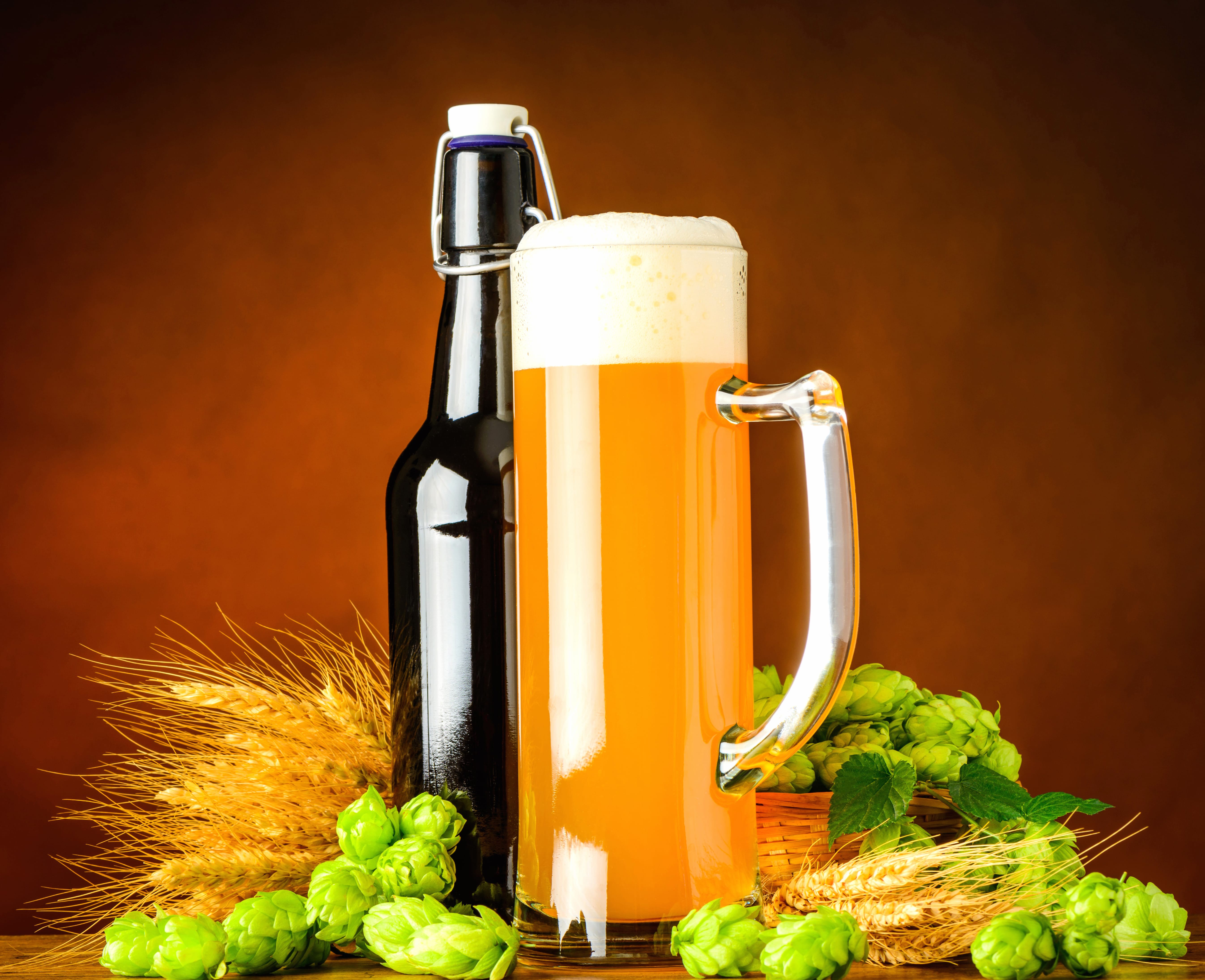 Glass Still Life Hop Bottle Drink Alcohol Food Beer at 1024 x 1024 iPad size wallpapers HD quality