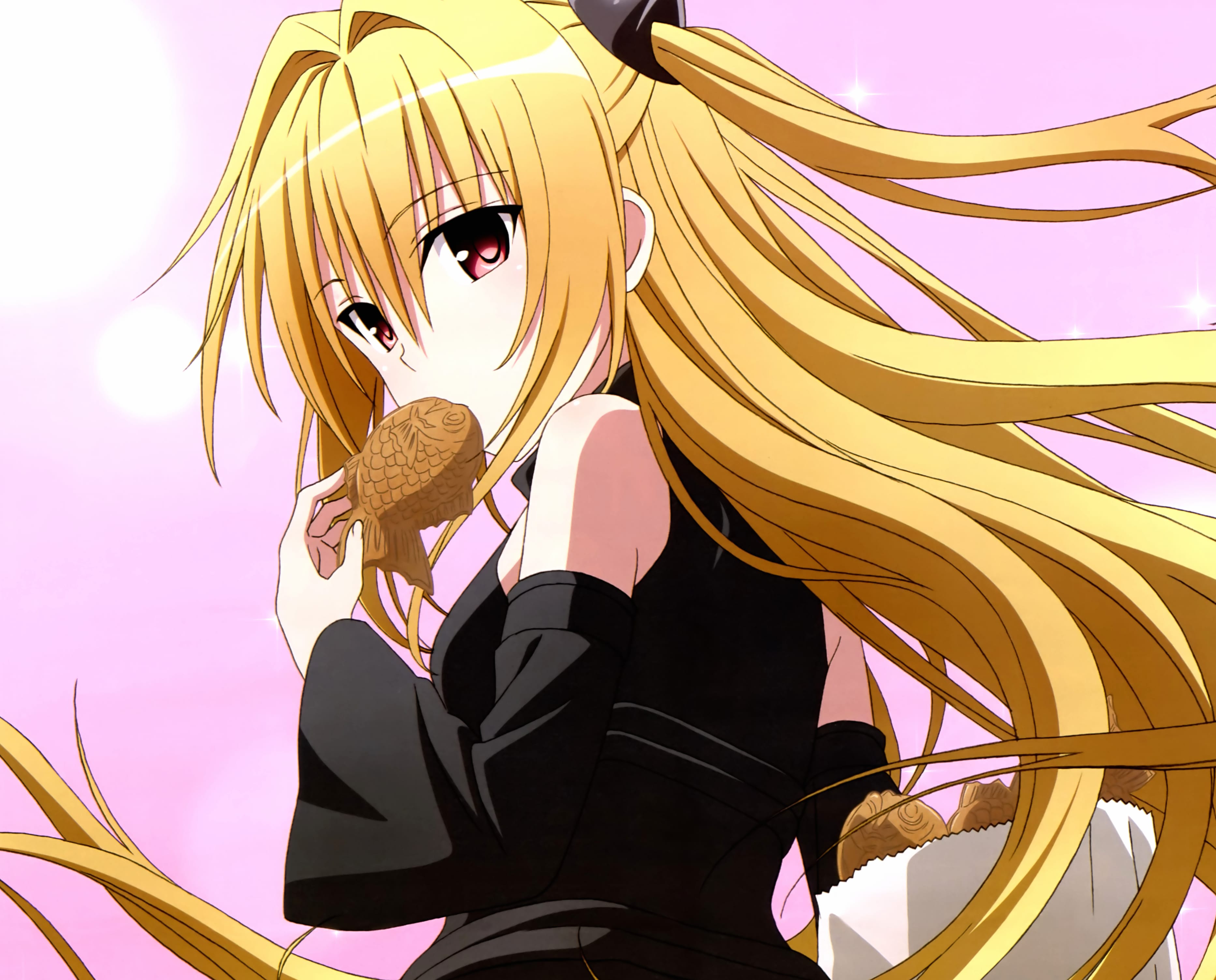 Golden Darkness Enjoys Treats - wallpapers HD quality