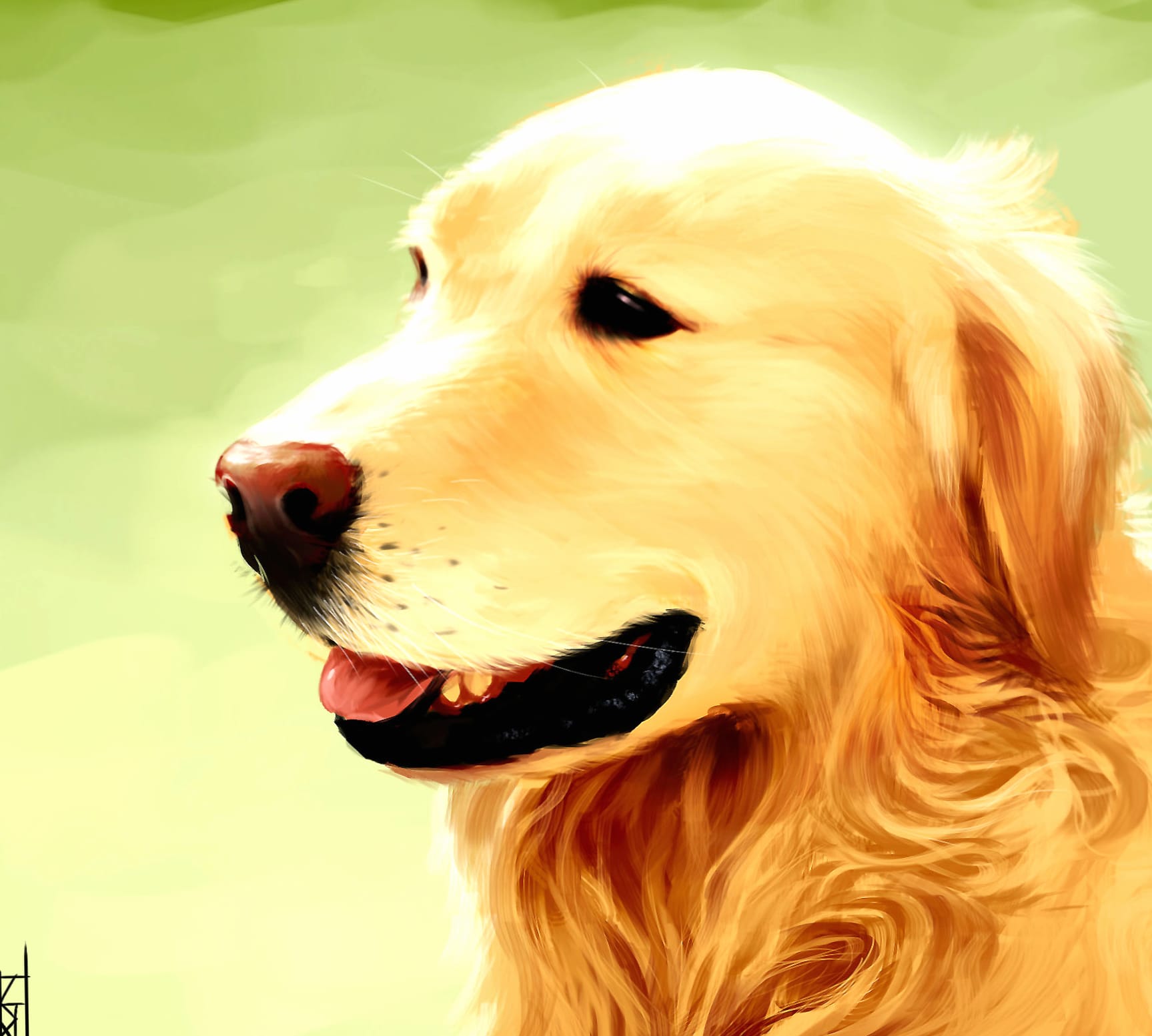 Golden Retriever Bliss - at 1024 x 1024 iPad size wallpapers HD quality