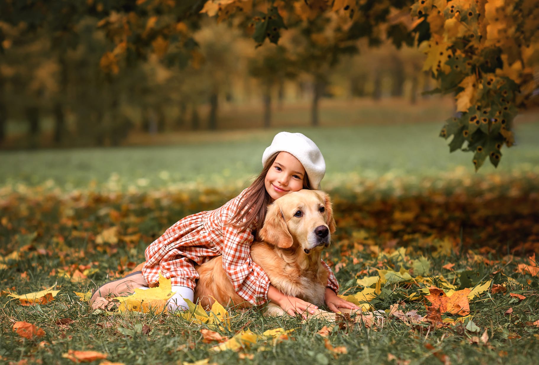 Golden Retriever Dog Photography Child wallpapers HD quality