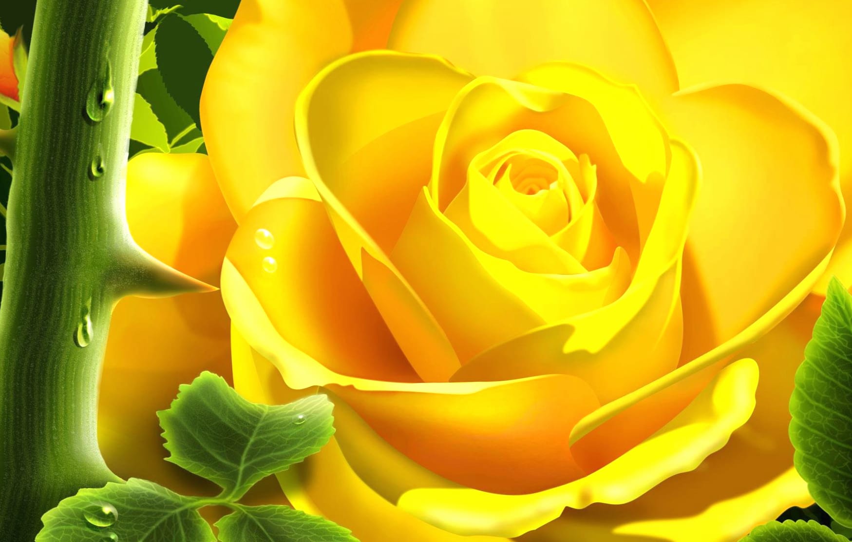 Golden Rose Nature at 1334 x 750 iPhone 7 size wallpapers HD quality