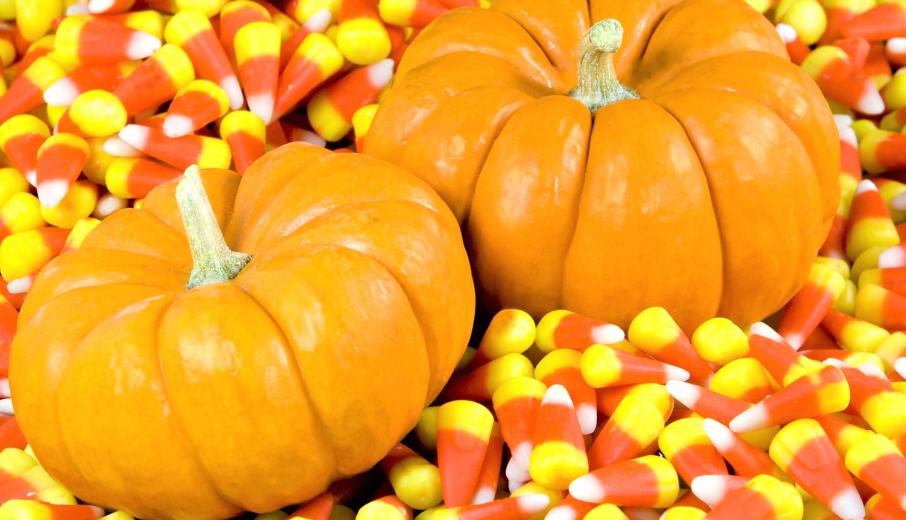 Gourd Food Candy Corn wallpapers HD quality