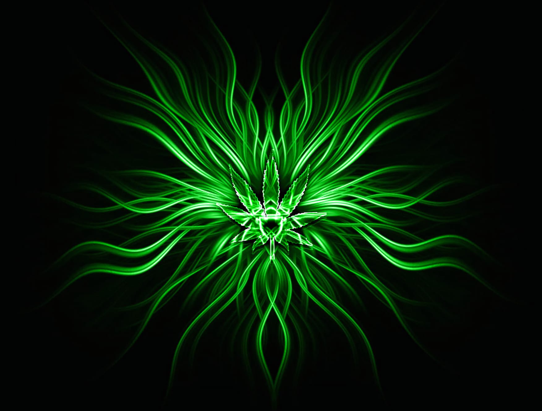 Green Fractal Bloom HD Abstract Wallpaper wallpapers HD quality