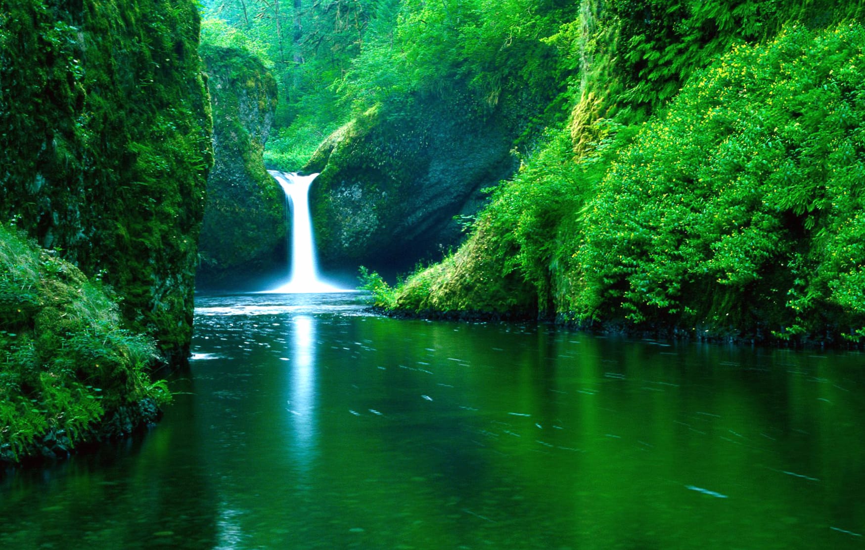 Green Oasis Waterfall wallpapers HD quality