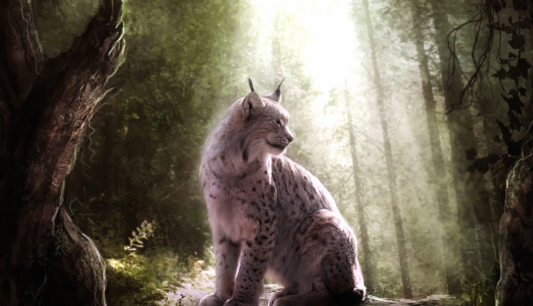 Green Tree Sunlight Forest Lynx Fantasy Cat wallpapers HD quality