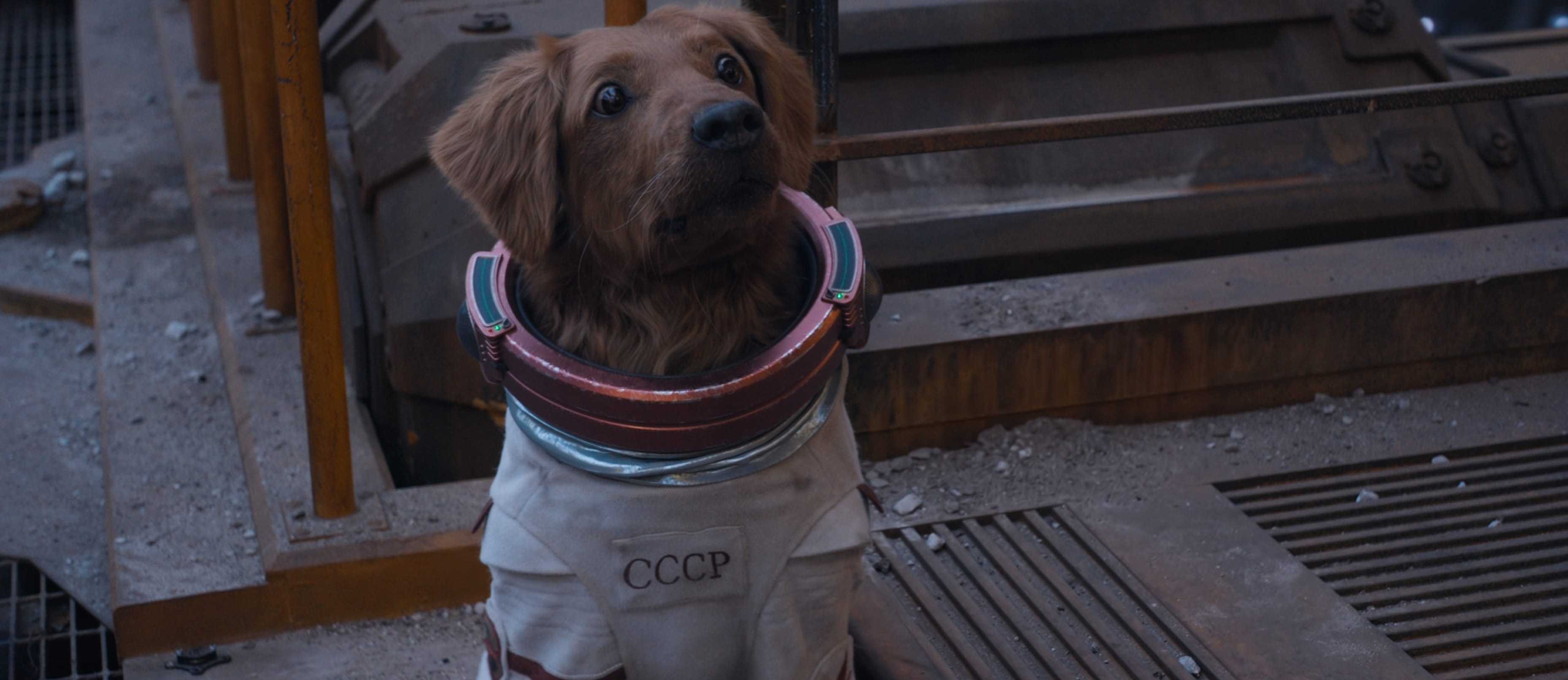 Guardians of the Galaxy 3 Cosmo the Space Dog wallpapers HD quality