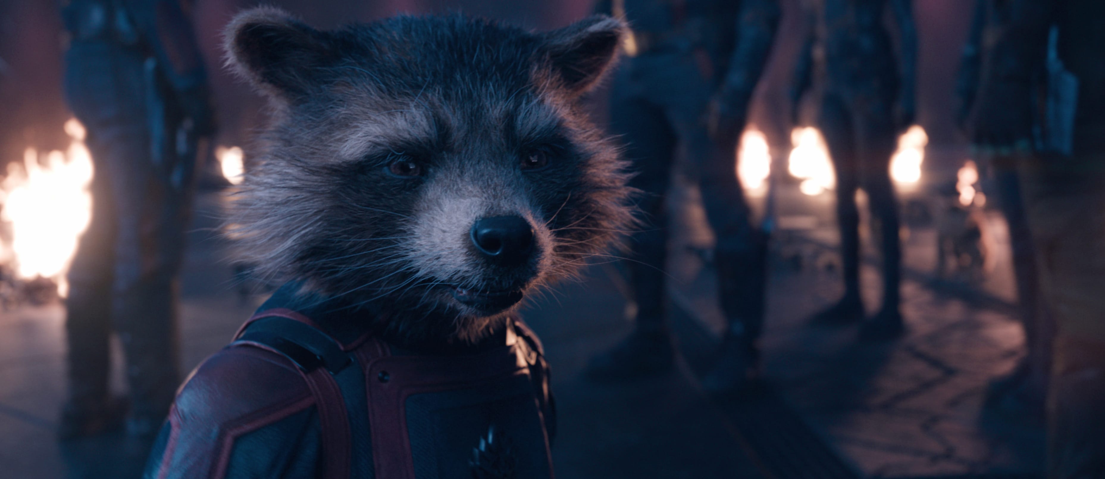 Guardians of the Galaxy 3 Rocket wallpapers HD quality