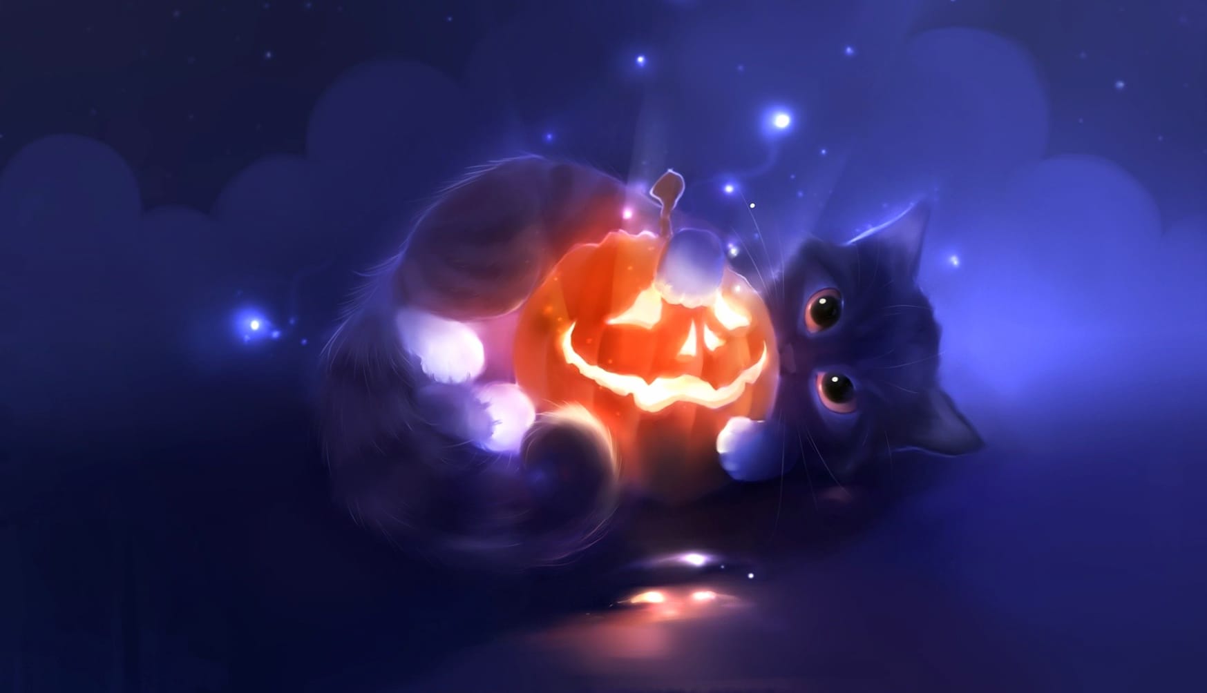 Halloween Cat Pumpkin wallpapers HD quality