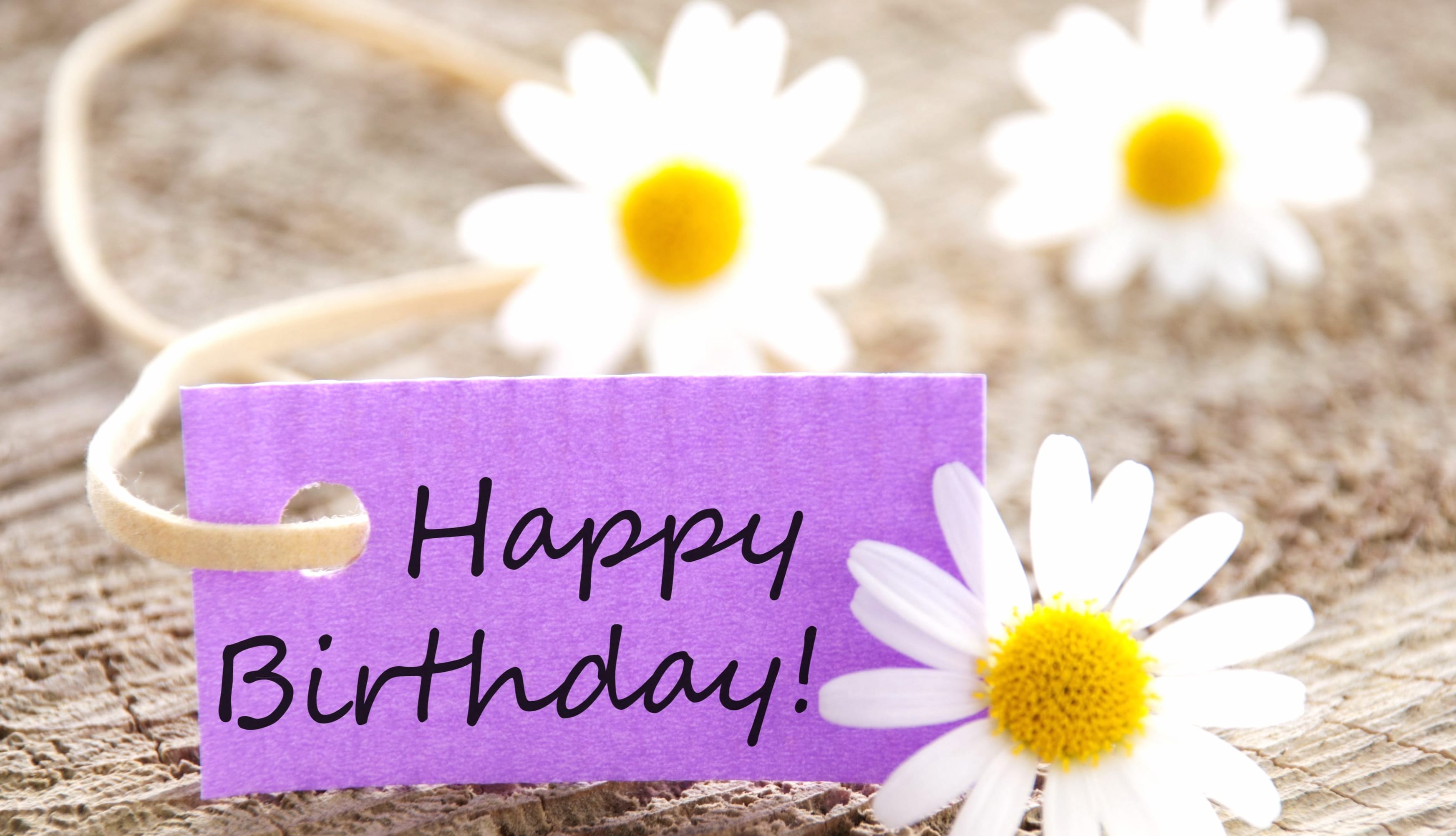 Happy Birthday Daisy A Joyful HD Floral Celebration at 1366 x 768 HD size wallpapers HD quality