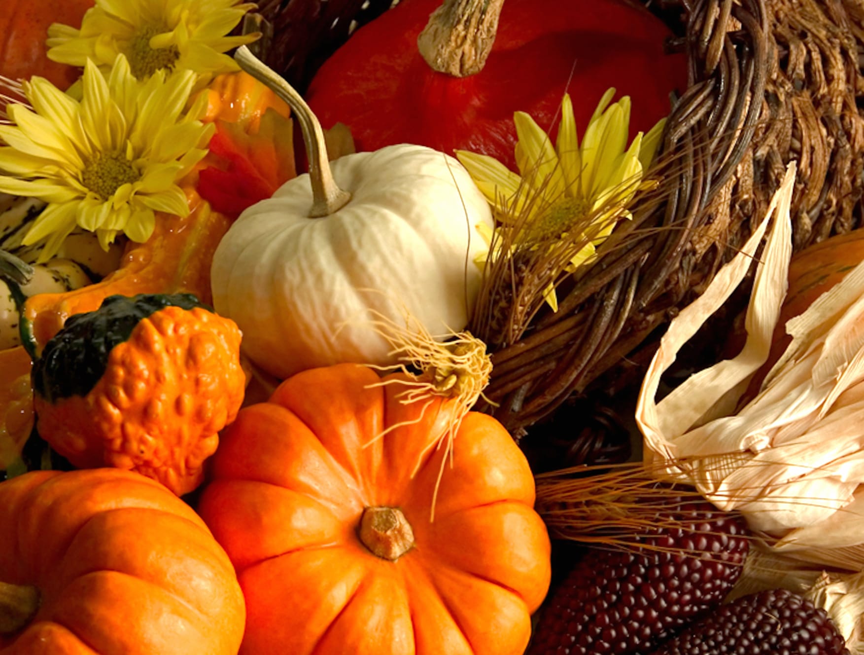 Harvest Bounty Squash & Pumpkin wallpapers HD quality