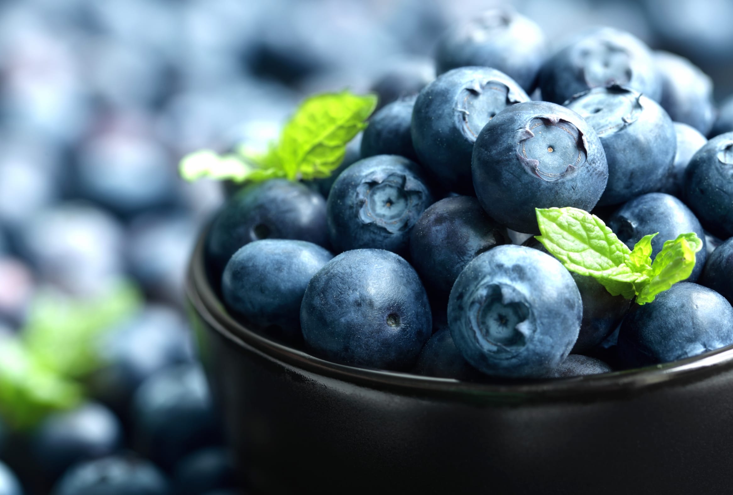 HD Blueberry Berrylicious Wallpaper wallpapers HD quality