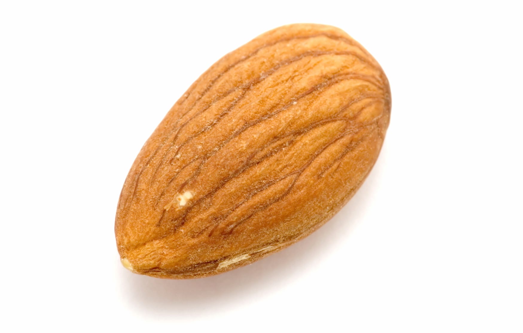 HD Wallpaper of a Delicious Almond wallpapers HD quality