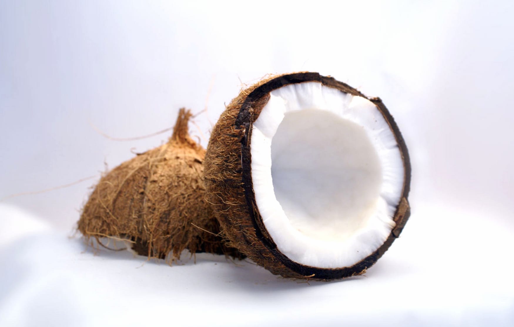 HD Wallpaper of a Fresh Coconut Delight wallpapers HD quality