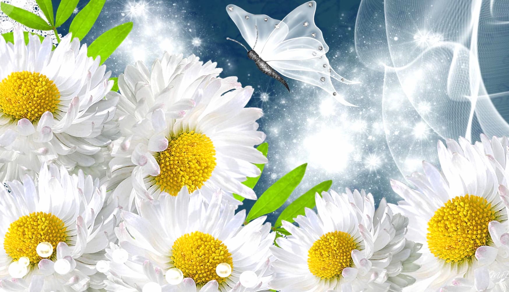 HD Wallpaper of Sparkling Daisies and Butterflies wallpapers HD quality