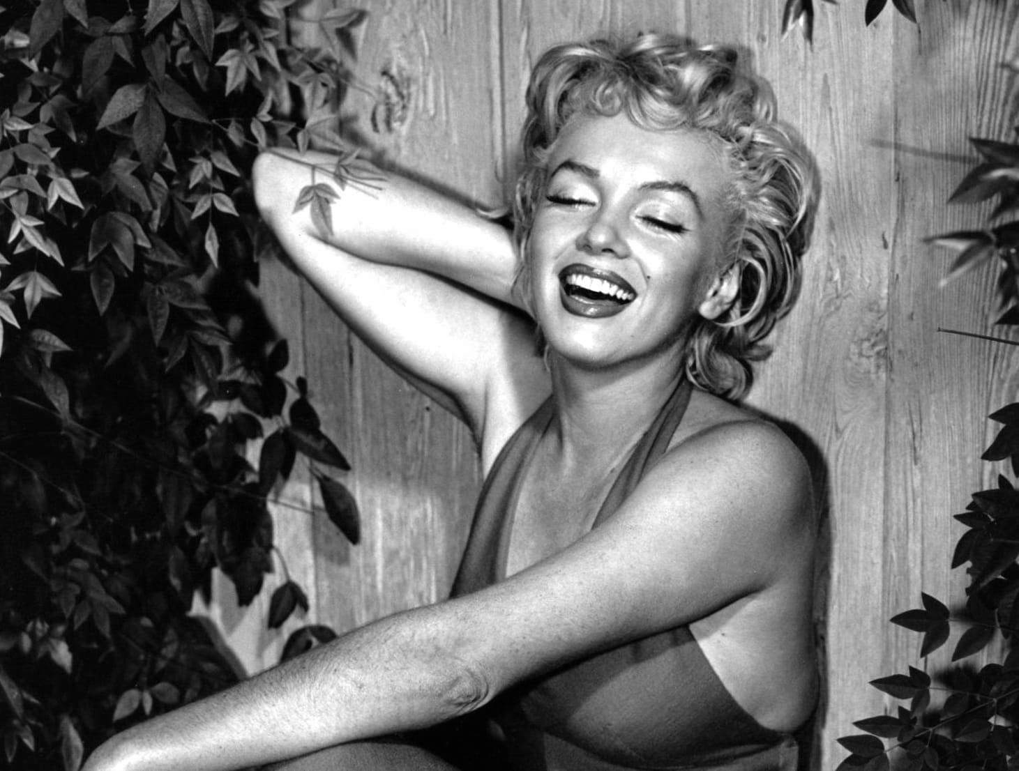 HD Wallpaper of the Iconic Marilyn Monroe wallpapers HD quality