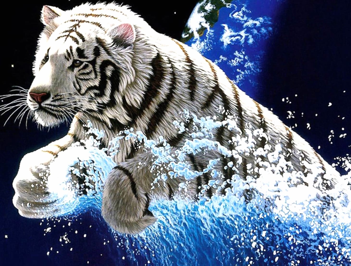 HD White Tiger Power Wallpaper at 2560 x 1440 HD size wallpapers HD quality