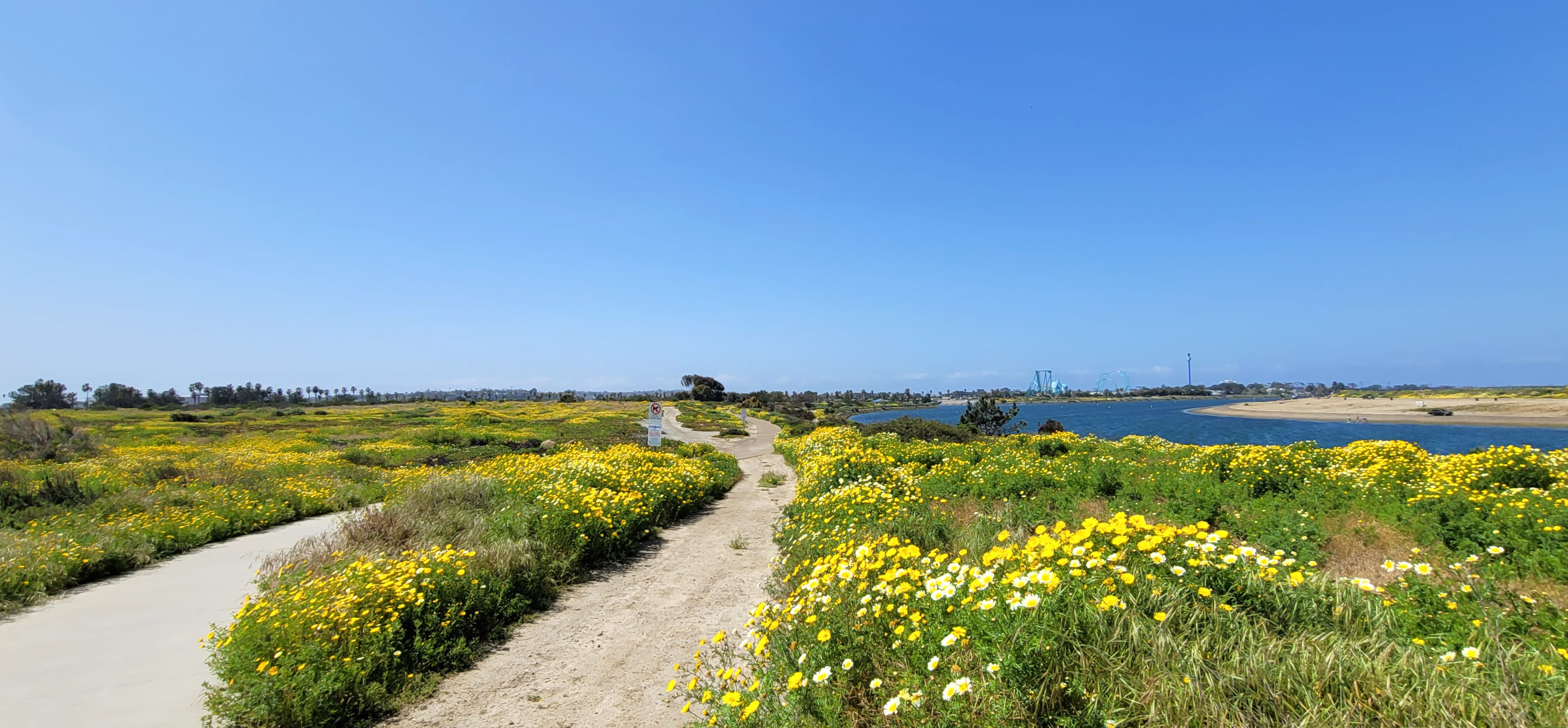 Hiking in Greater San Diego County – Landscape Photography at 750 x 1334 iPhone 6 size wallpapers HD quality